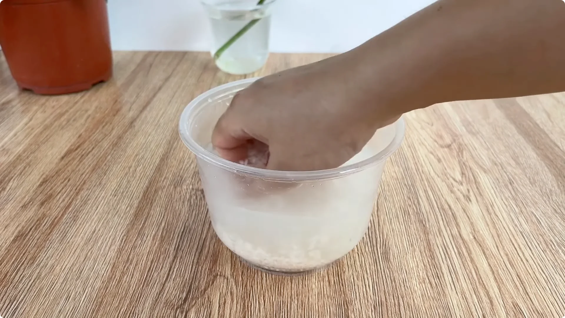 How to Propagate Roses with Coca: 3 Easy Steps Explained screenshot 4