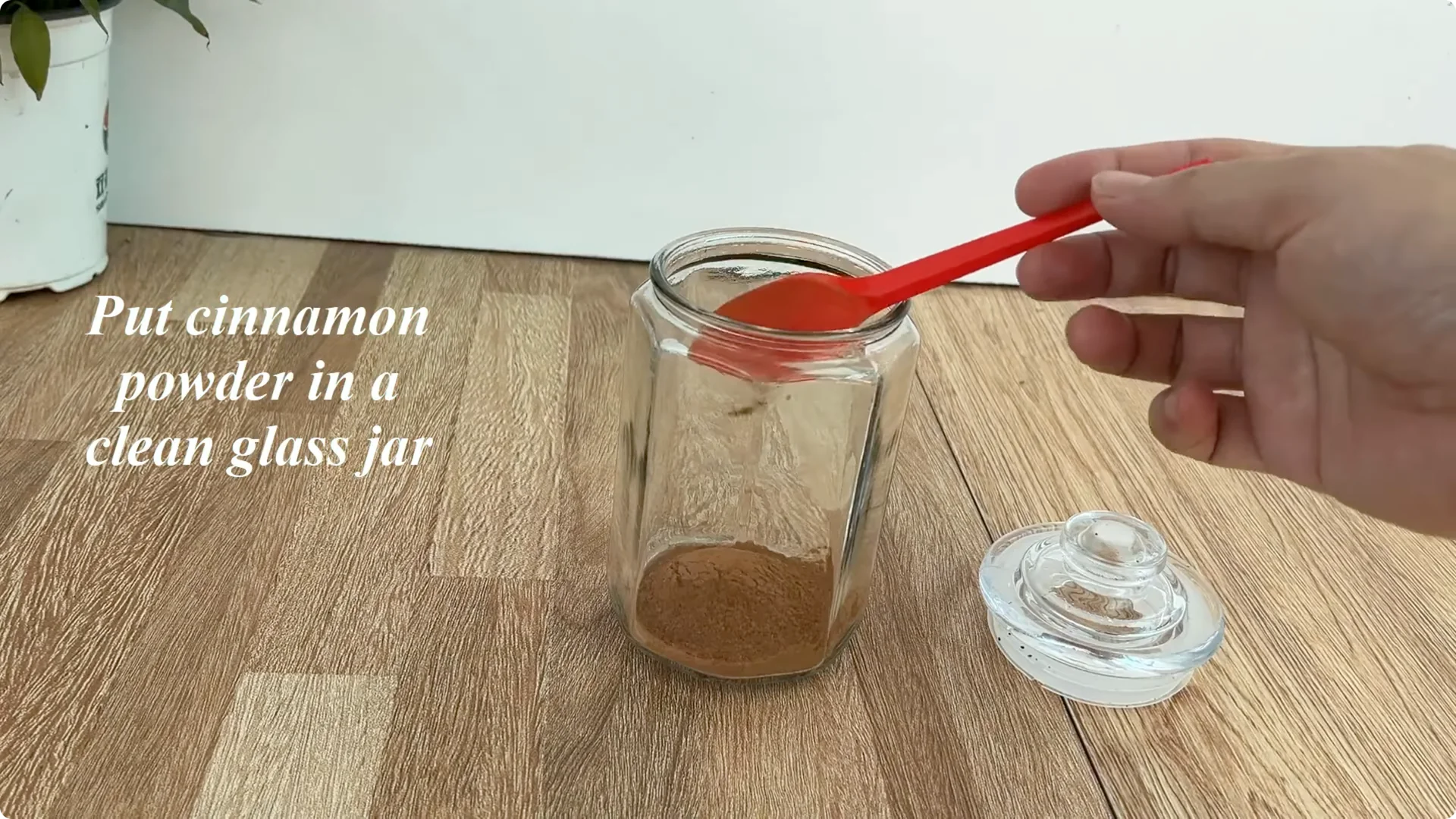 The Secret to Propagating Any Type of Rose Successfully screenshot 1