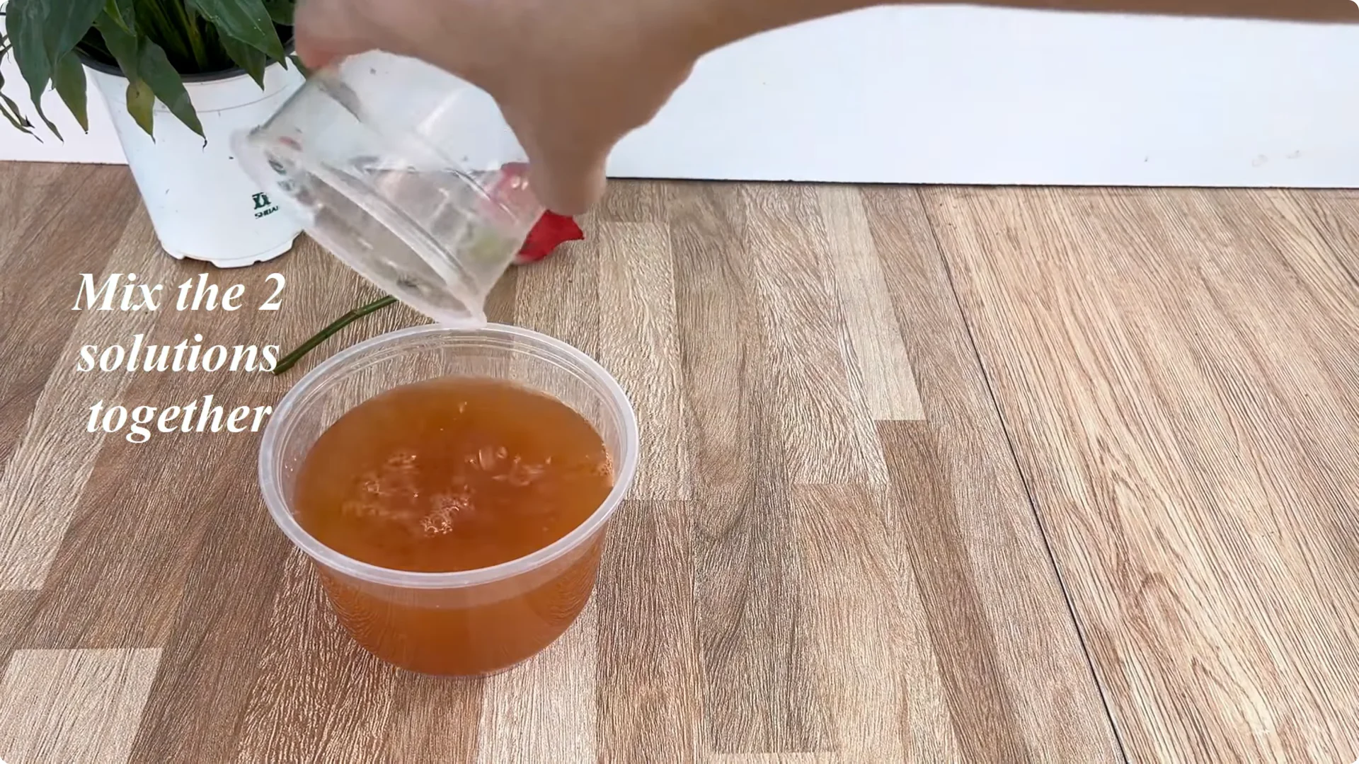 The Secret to Propagating Any Type of Rose Successfully screenshot 10