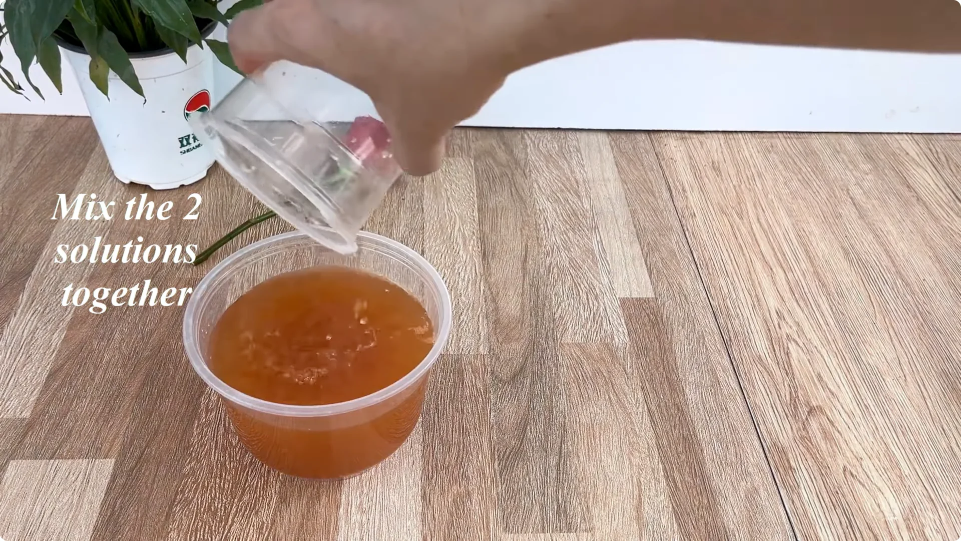 The Secret to Propagating Any Type of Rose Successfully screenshot 12