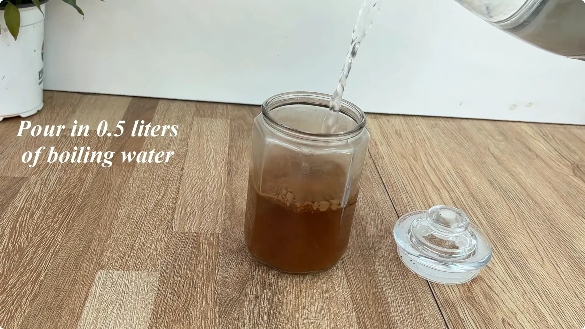 The Secret to Propagating Any Type of Rose Successfully screenshot 2