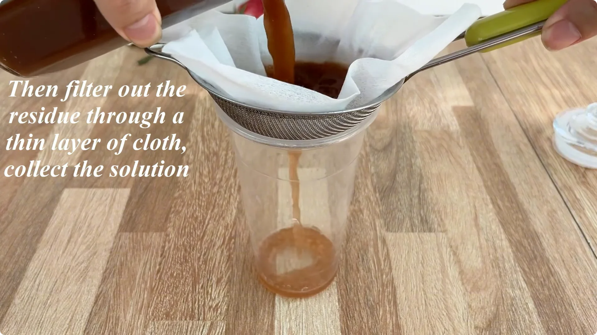 The Secret to Propagating Any Type of Rose Successfully screenshot 5