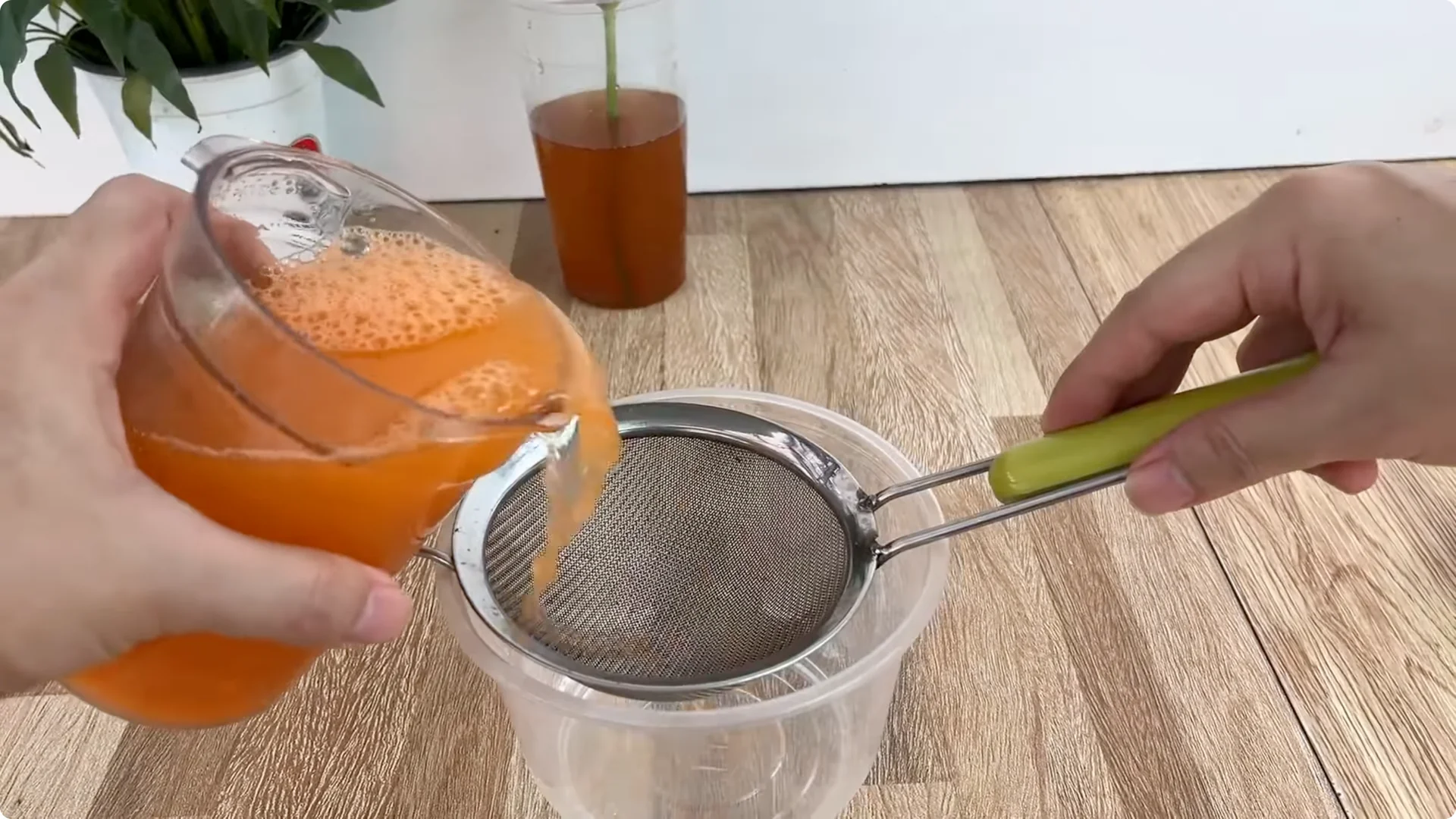 The Secret to Propagating Any Type of Rose Successfully screenshot 9