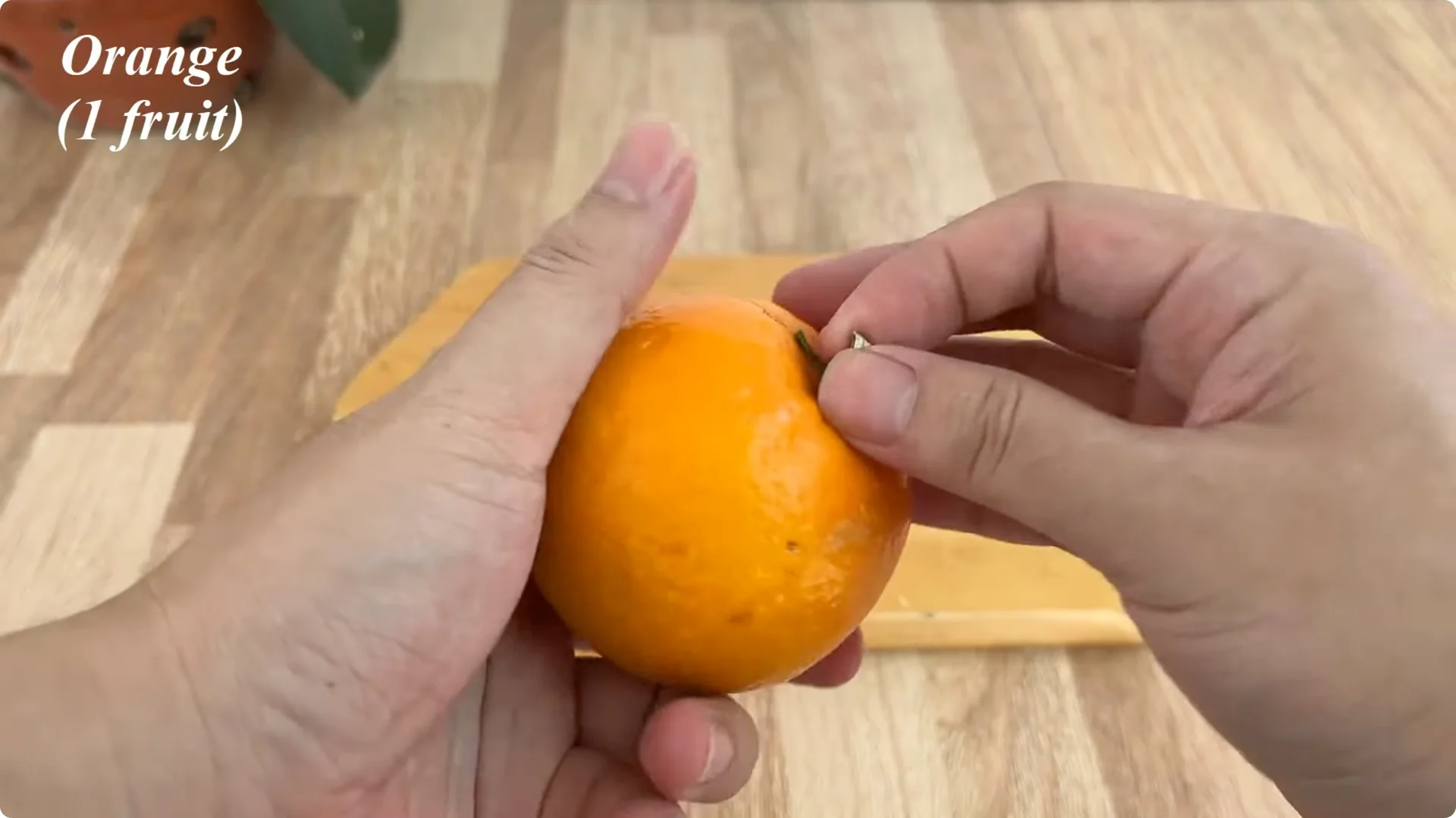 The Secret Trick to Make Your Rose Bloom Abundantly screenshot 1