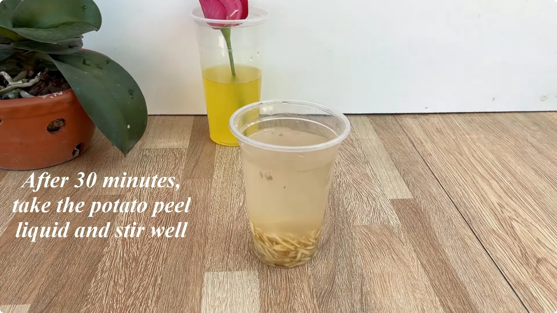 The Secret Trick to Make Your Rose Bloom Abundantly screenshot 12