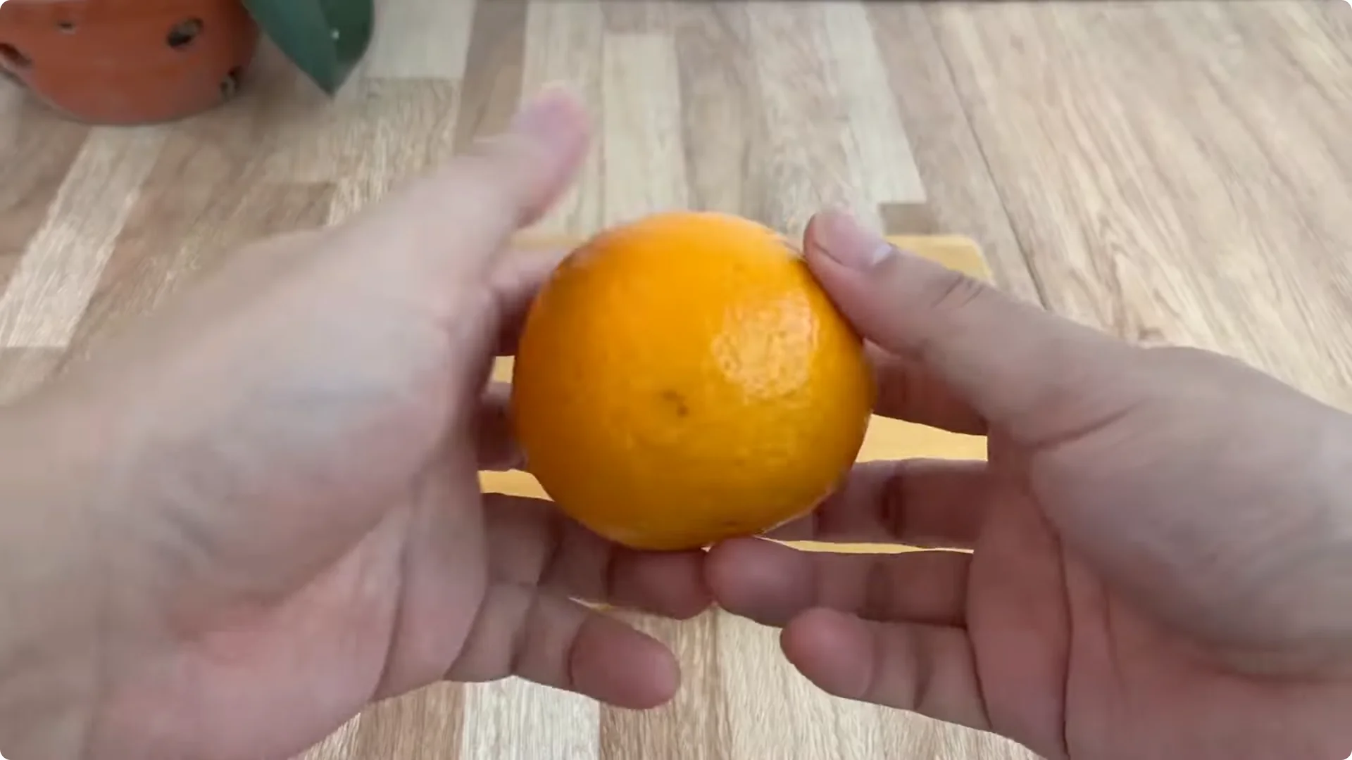 The Secret Trick to Make Your Rose Bloom Abundantly screenshot 2