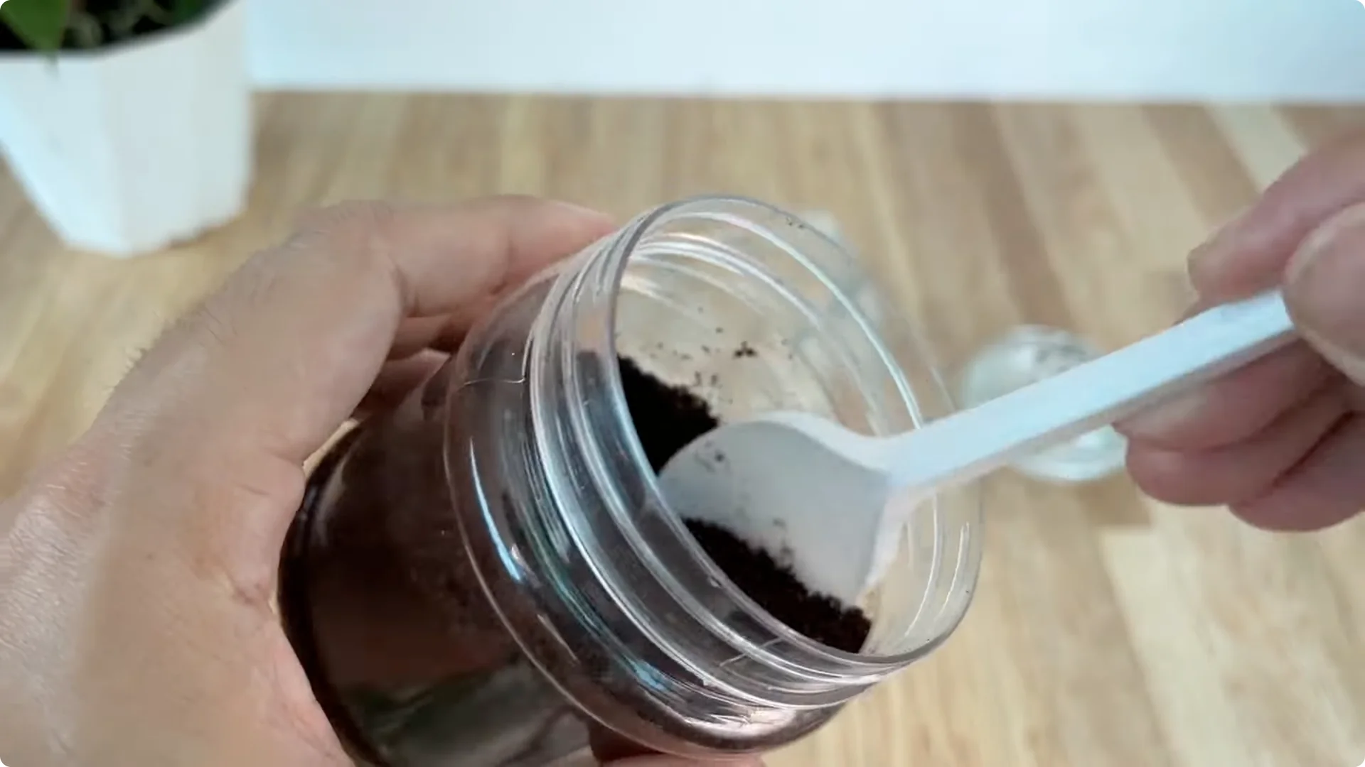 The Simple Method That Surprised Me for Propagating Roses screenshot 1