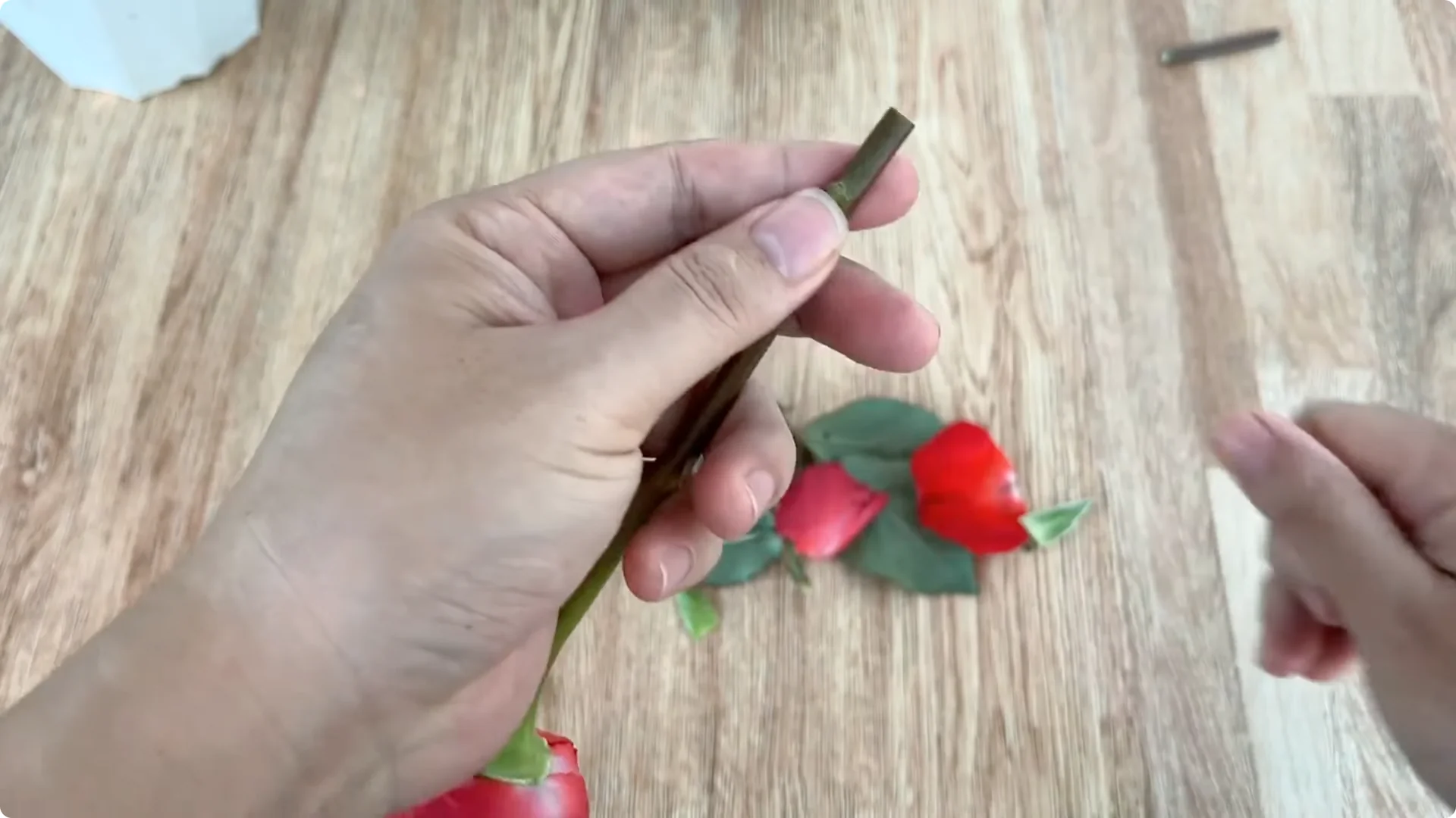 The Simple Method That Surprised Me for Propagating Roses screenshot 2