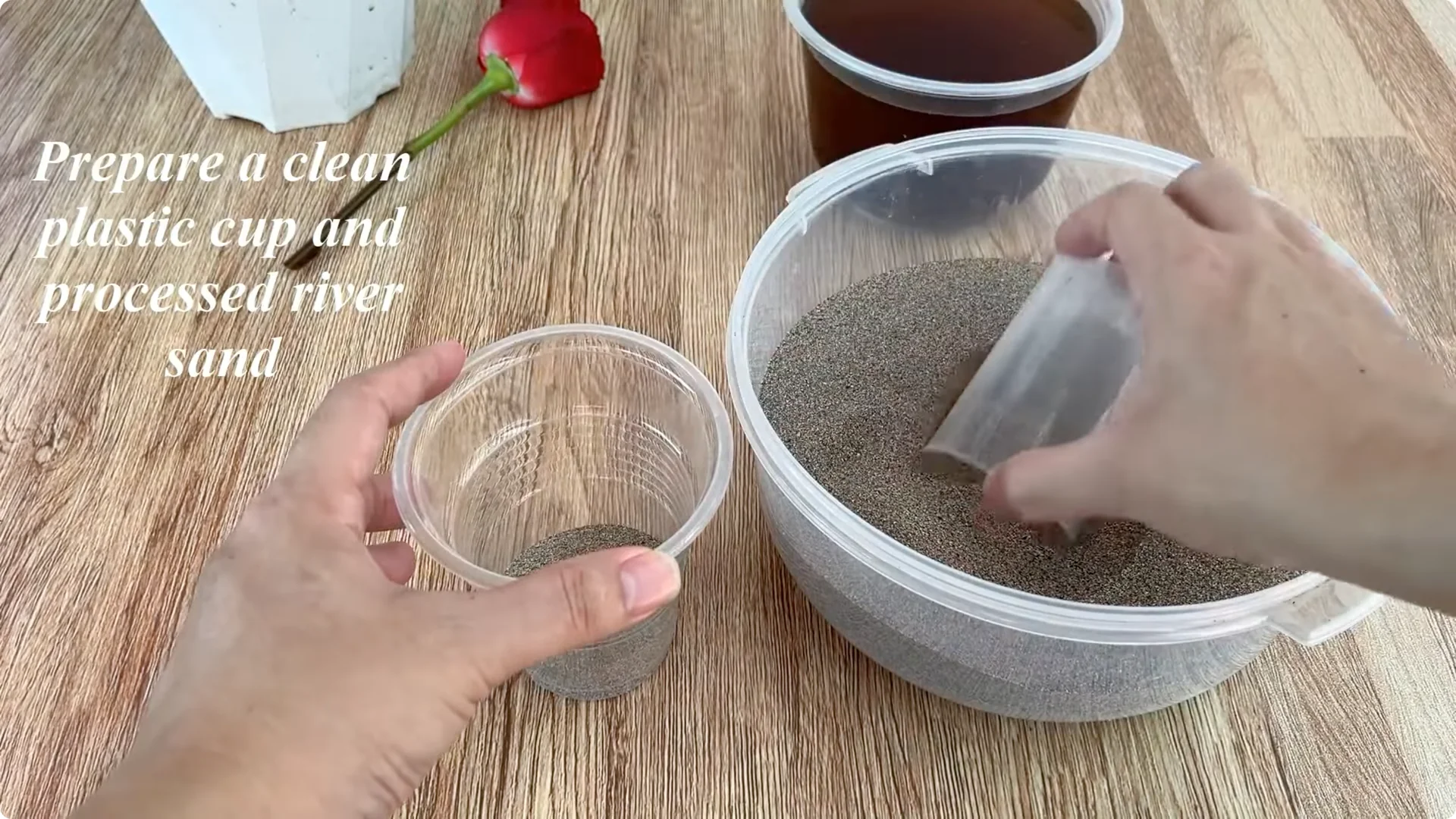 The Simple Method That Surprised Me for Propagating Roses screenshot 6
