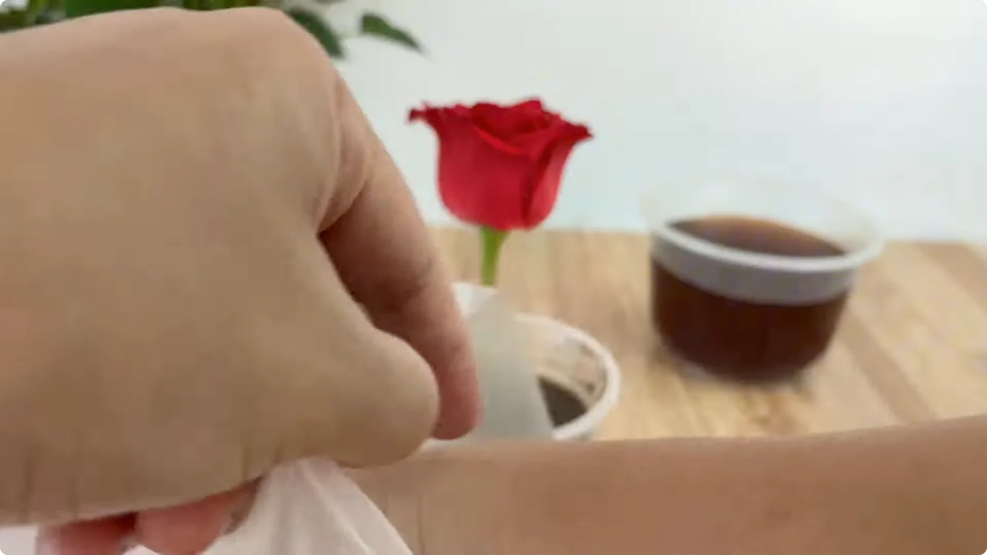 The Simple Method That Surprised Me for Propagating Roses screenshot 7