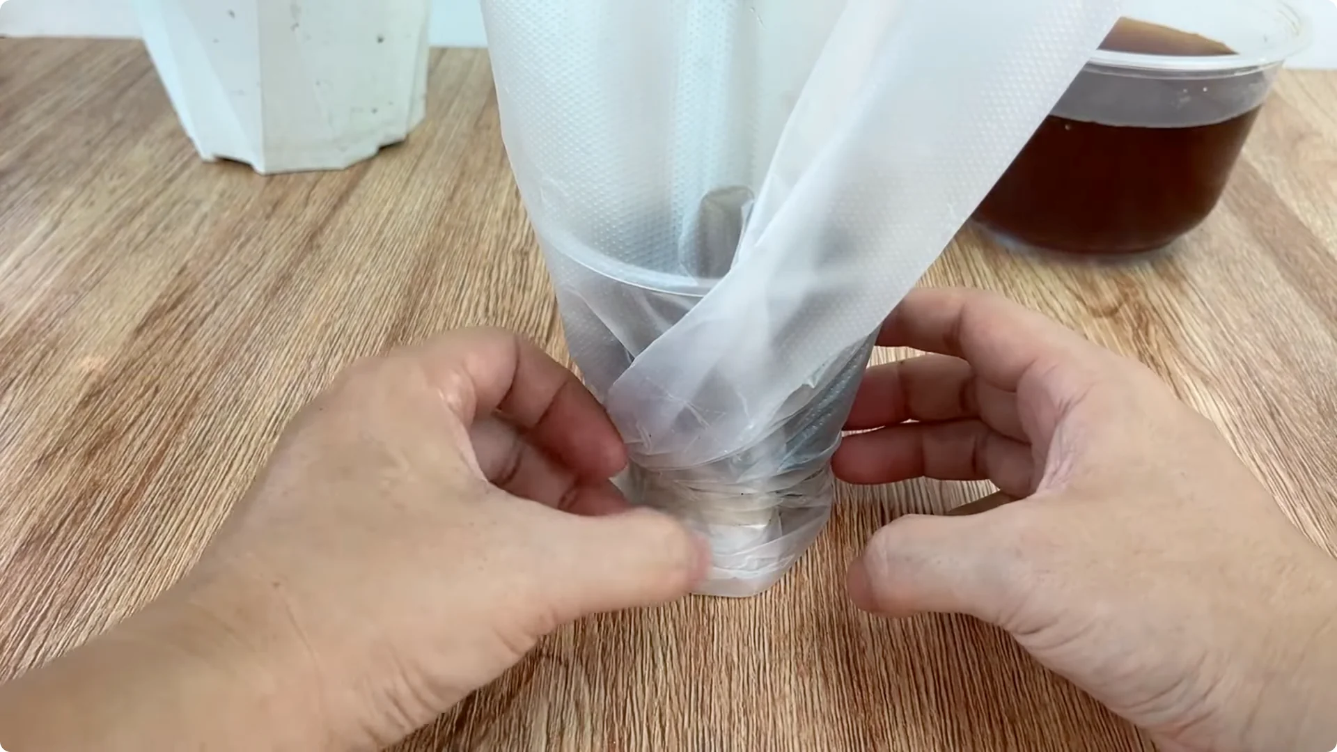 The Simple Method That Surprised Me for Propagating Roses screenshot 8