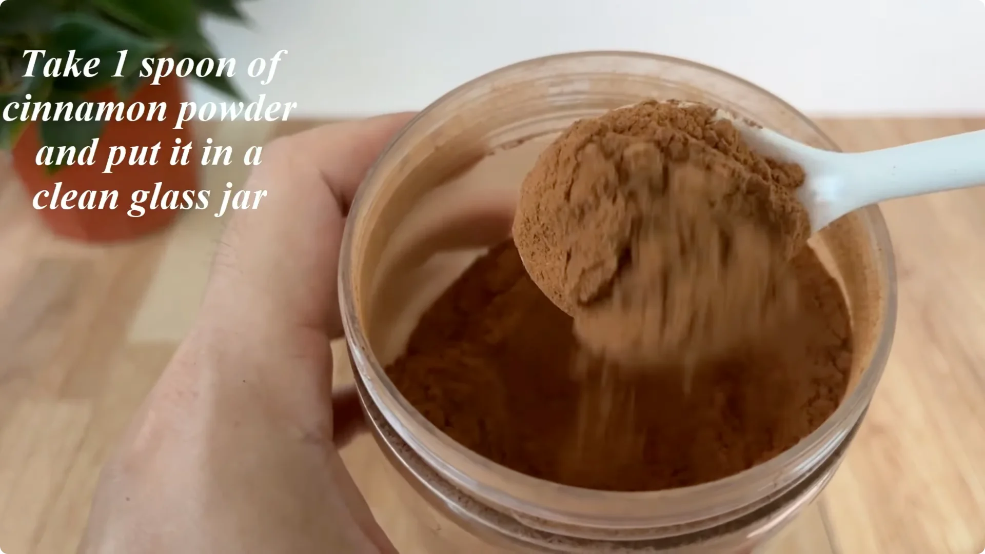 The Simple Method That Surprised Me When Propagating Roses screenshot 1