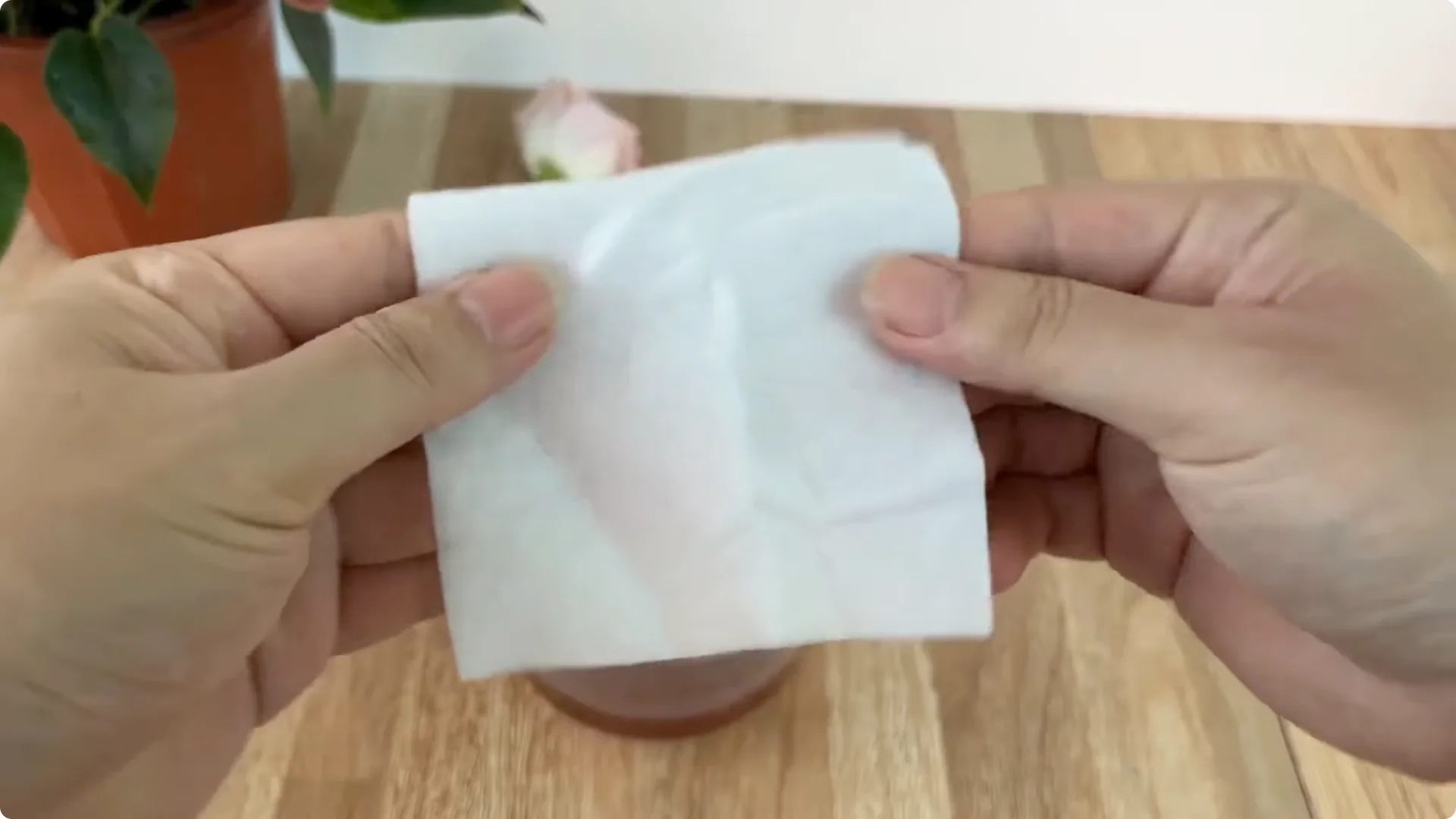 The Simple Method That Surprised Me When Propagating Roses screenshot 4