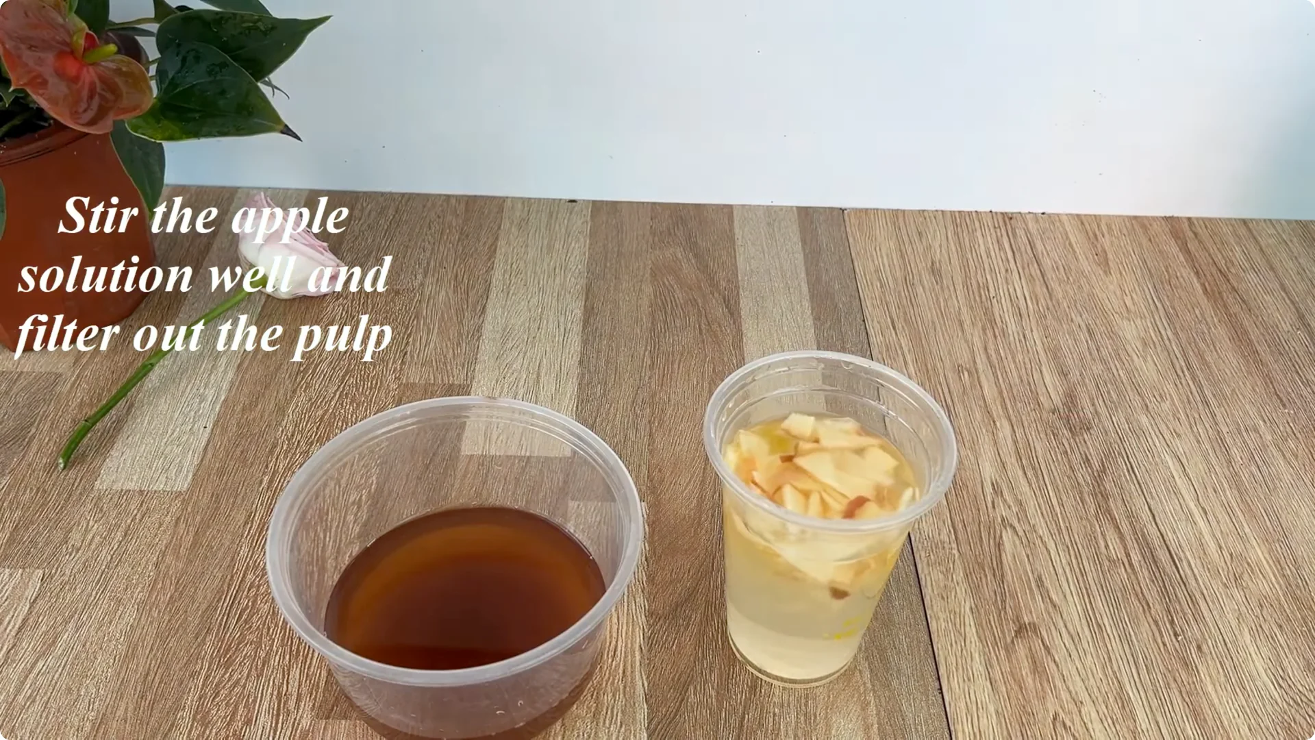 The Simple Method That Surprised Me When Propagating Roses screenshot 6