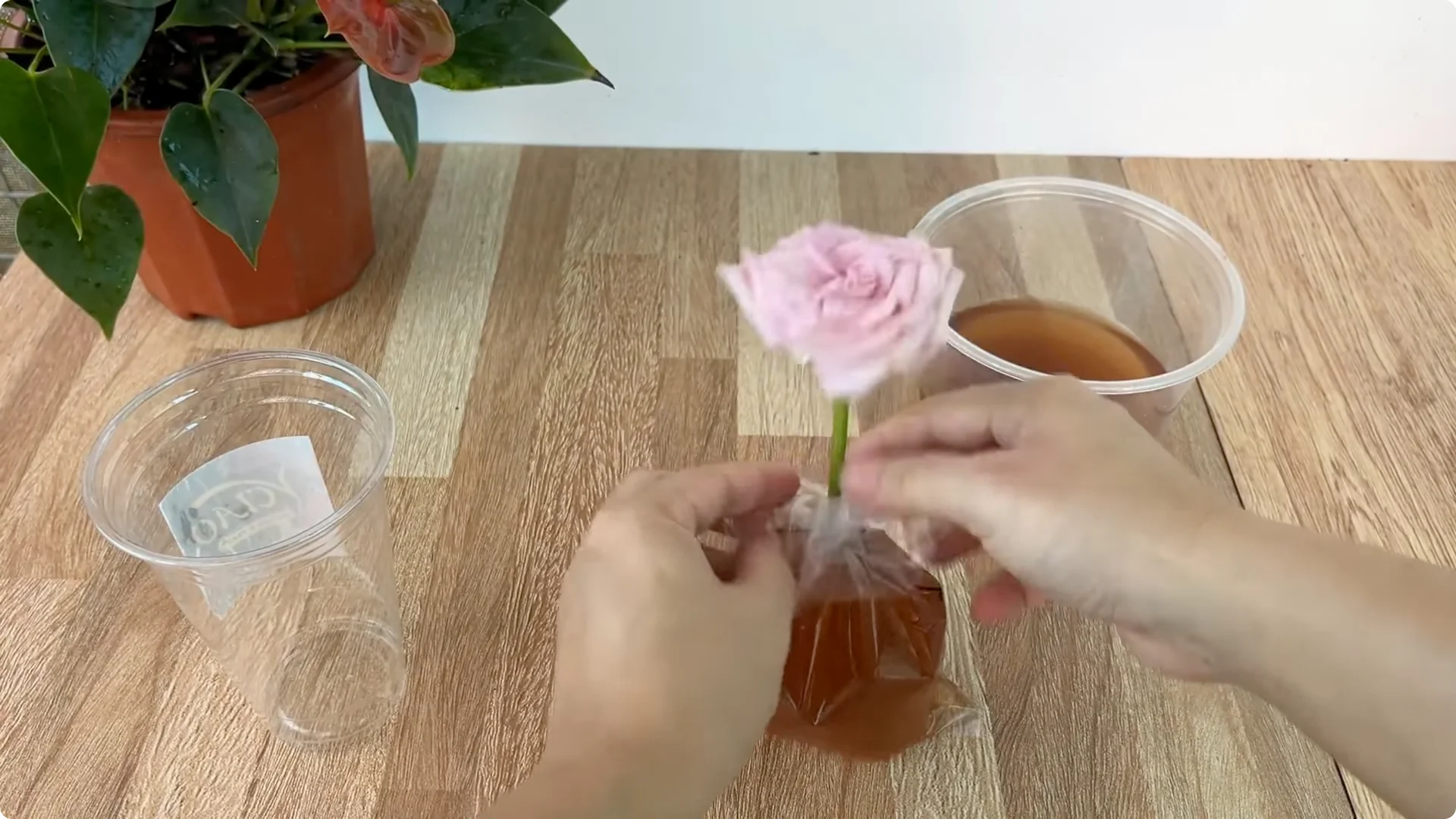 The Simple Method That Surprised Me When Propagating Roses screenshot 7