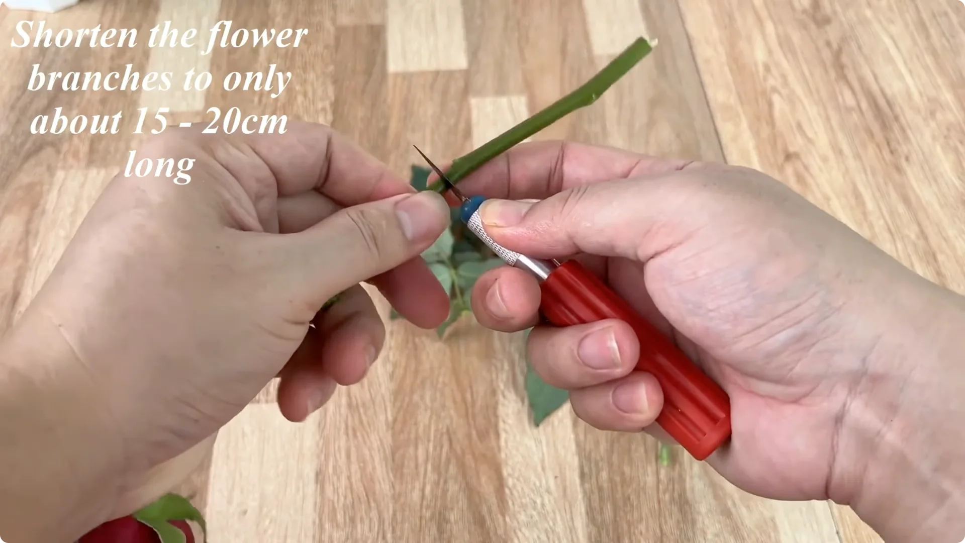 The Simple Method That Transformed My Rose Propagation screenshot 1