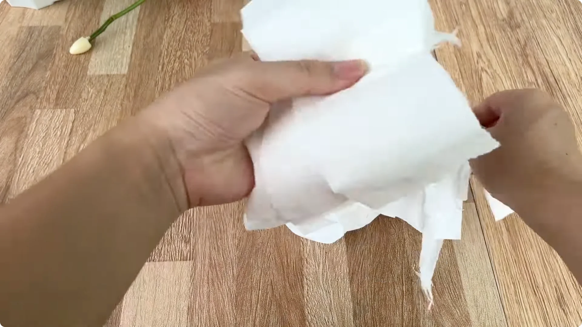 The Simple Method That Transformed My Rose Propagation screenshot 3