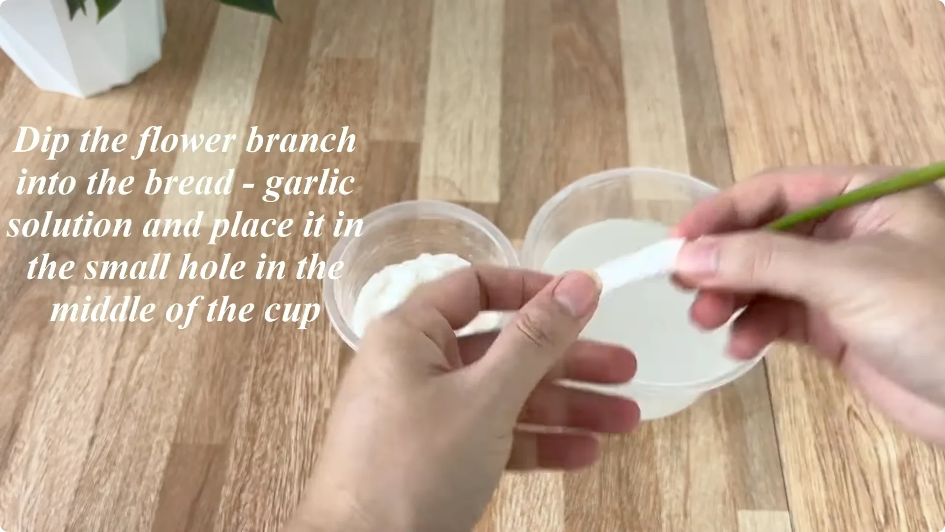 The Simple Method That Transformed My Rose Propagation screenshot 4