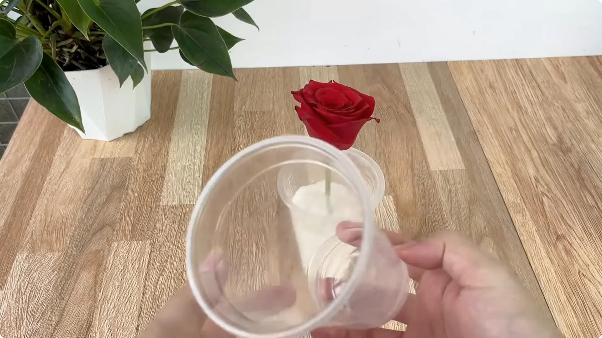 The Simple Method That Transformed My Rose Propagation screenshot 5