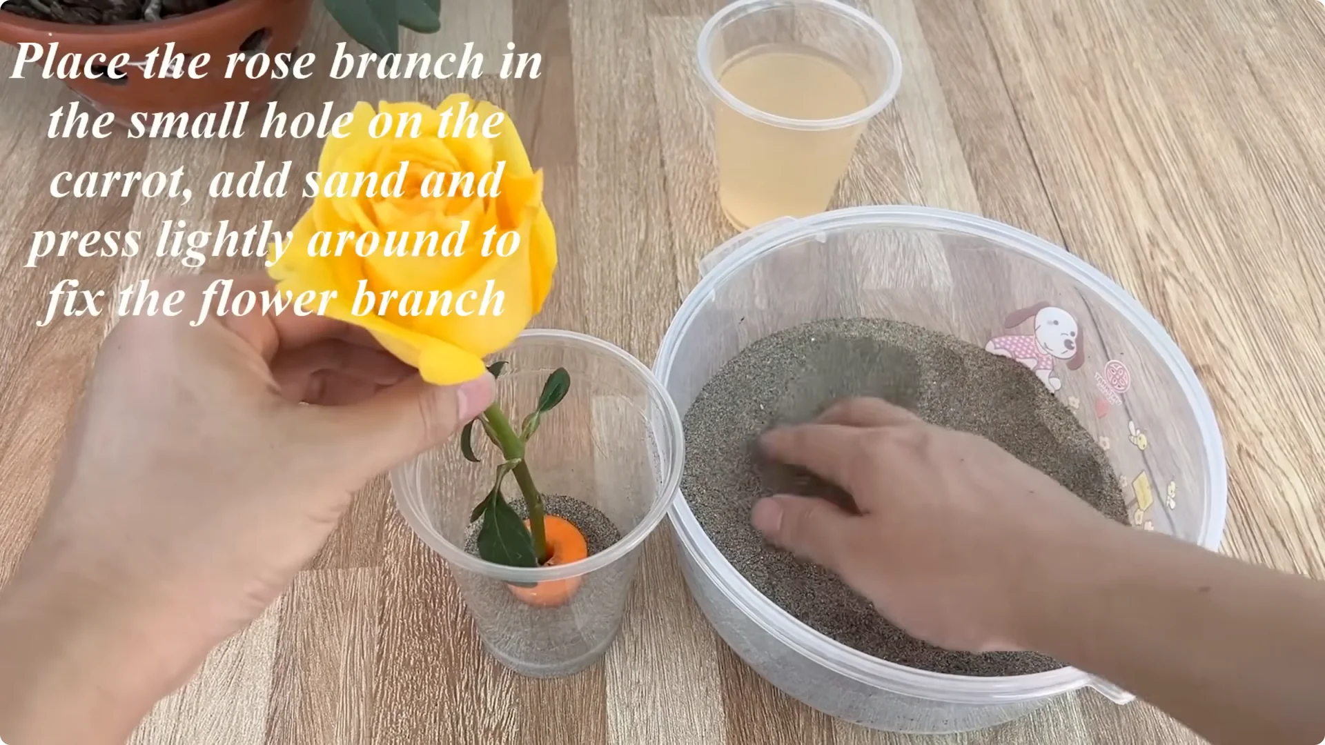 The Simple Rose Propagation Method That Surprised Me screenshot 3