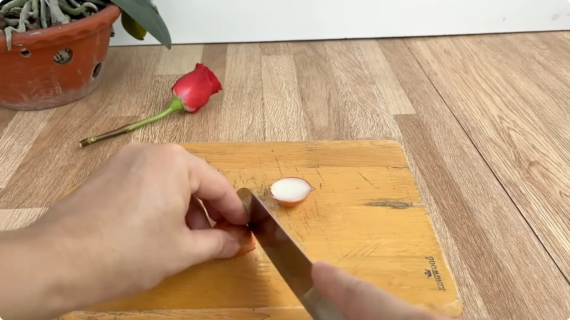 The Simple Rose Propagation Method That Surprised Me screenshot 7