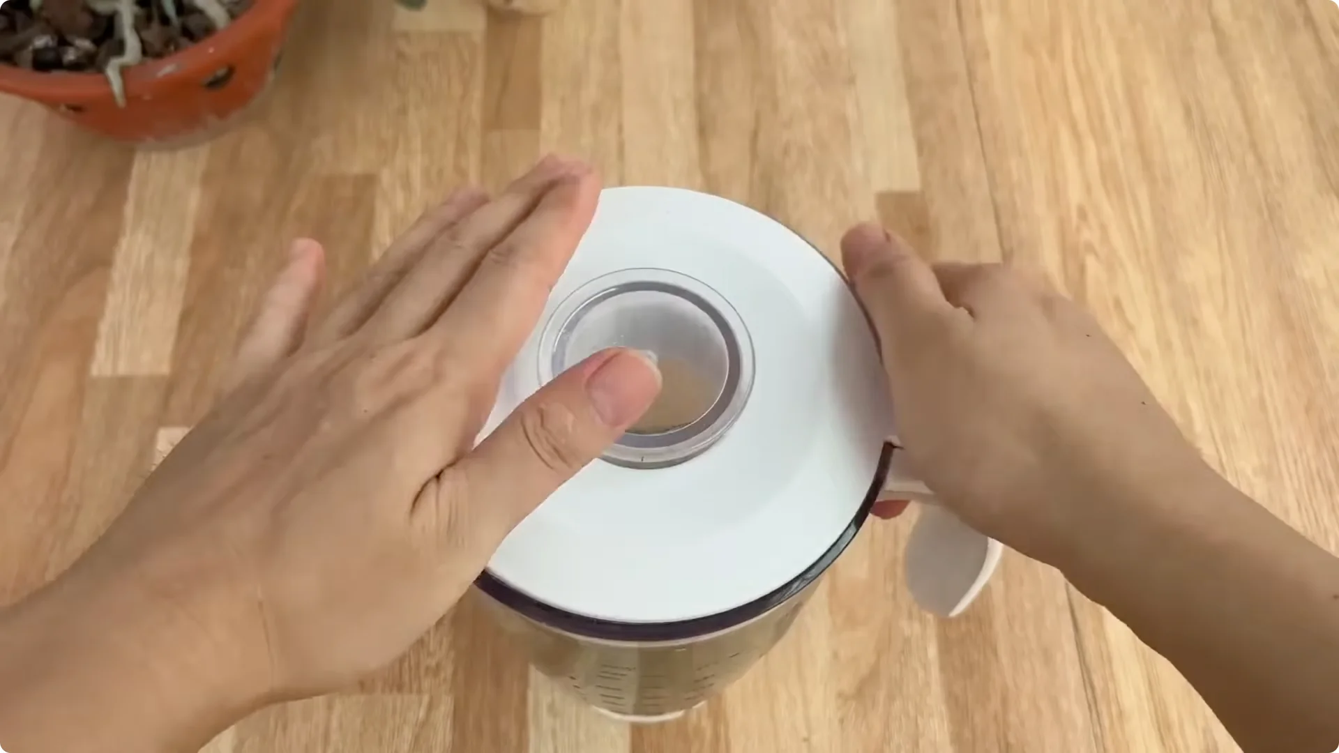 The Simple Rose Propagation Method That Surprised Me screenshot 8