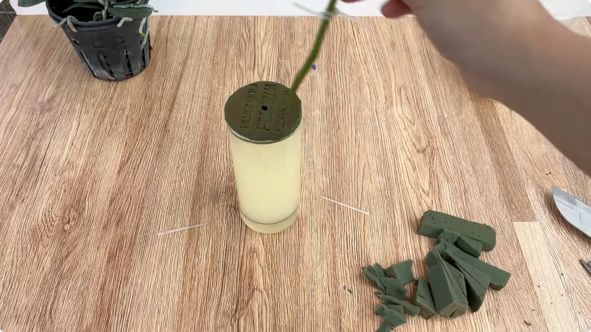 The Simple Secret to Successfully Propagate Any Rose Variety screenshot 4