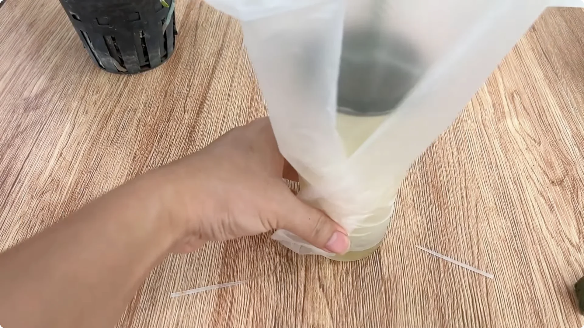 The Simple Secret to Successfully Propagate Any Rose Variety screenshot 5