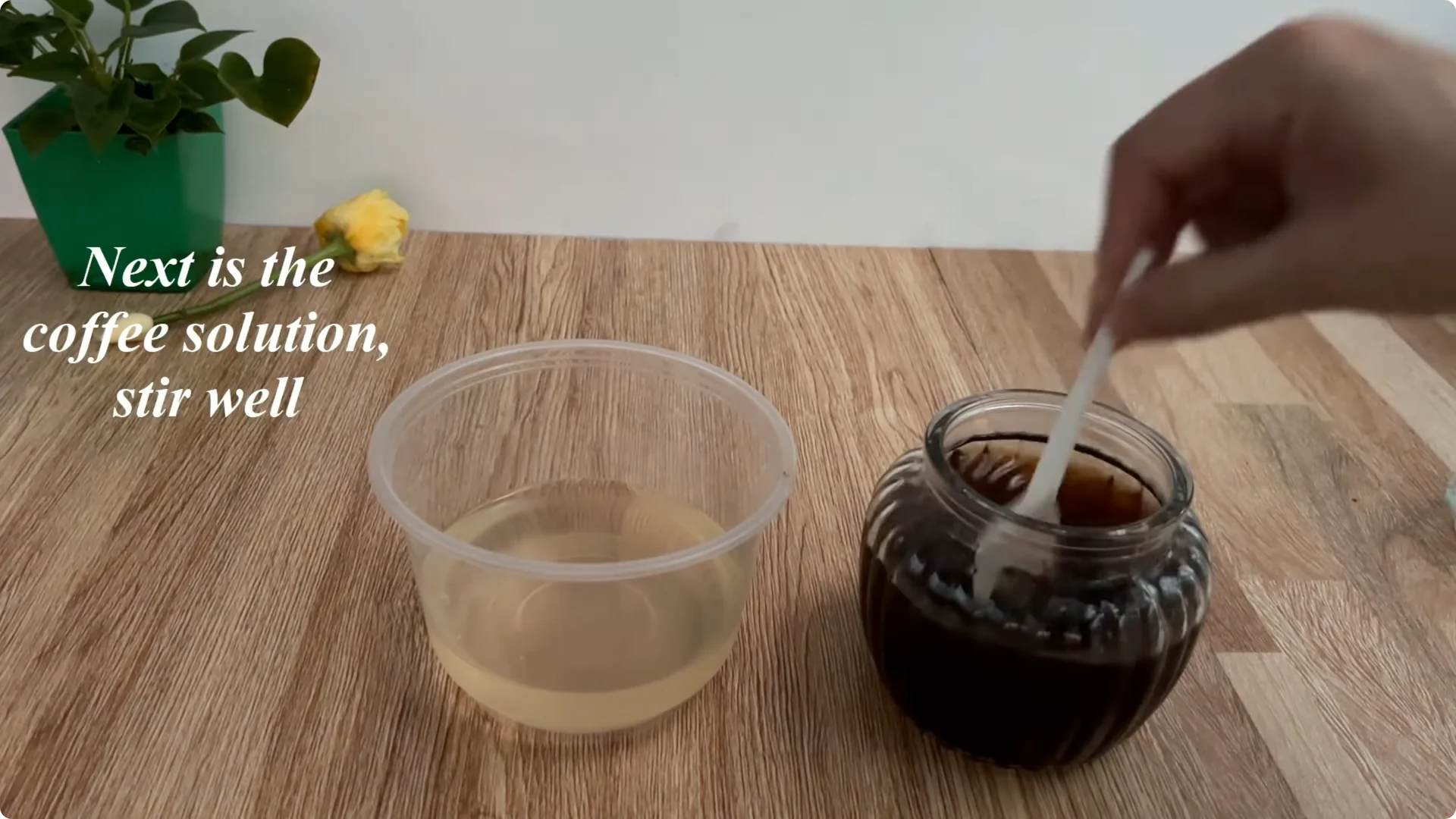 The Surprising Method to Propagate Roses Few Know About screenshot 5