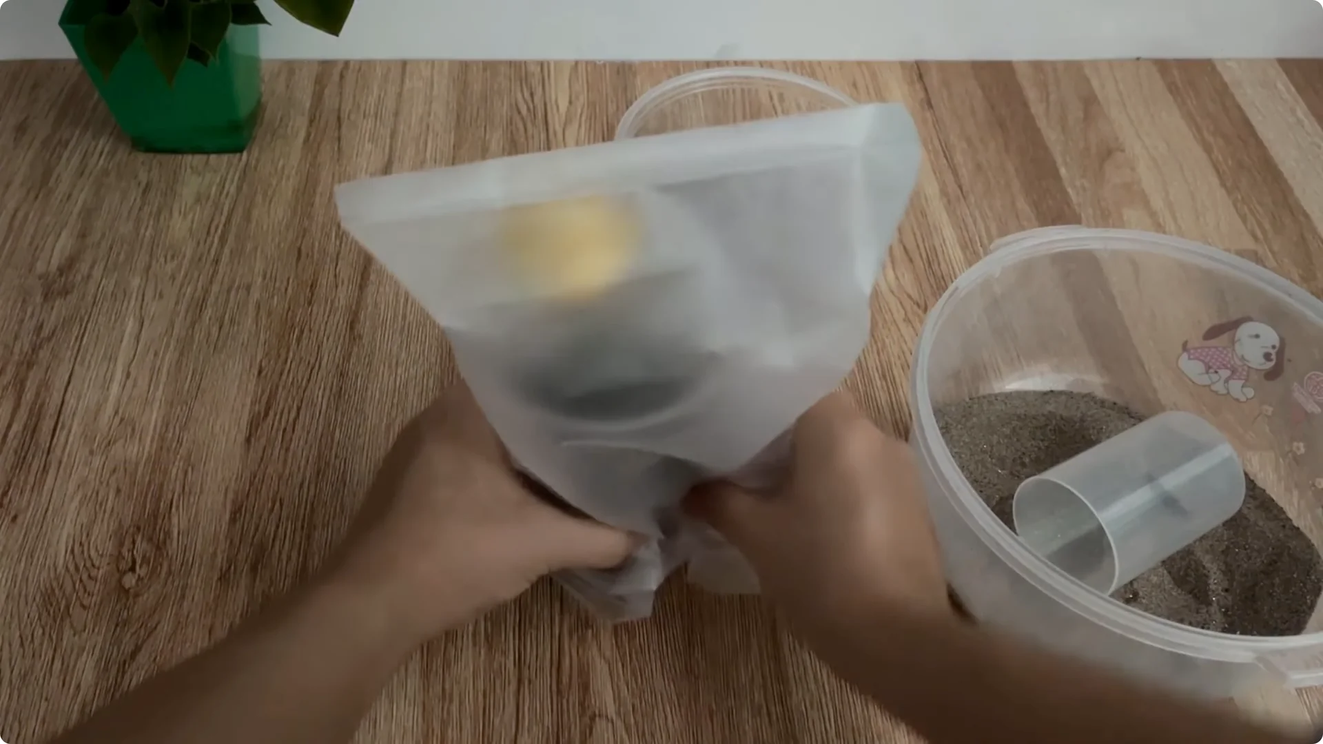 The Surprising Method to Propagate Roses Few Know About screenshot 7