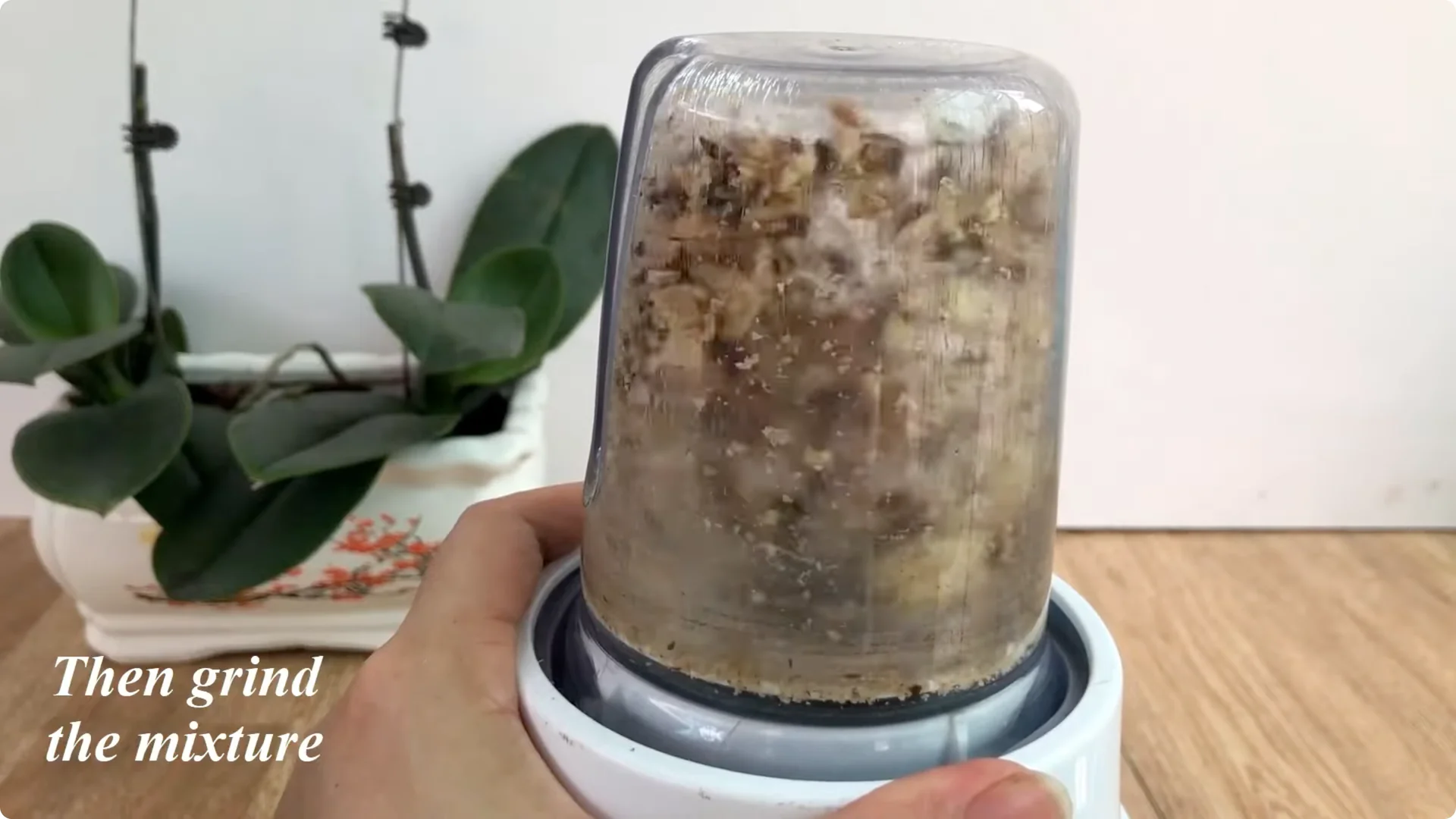 The Surprising Simple Method to Propagate Roses Easily screenshot 11