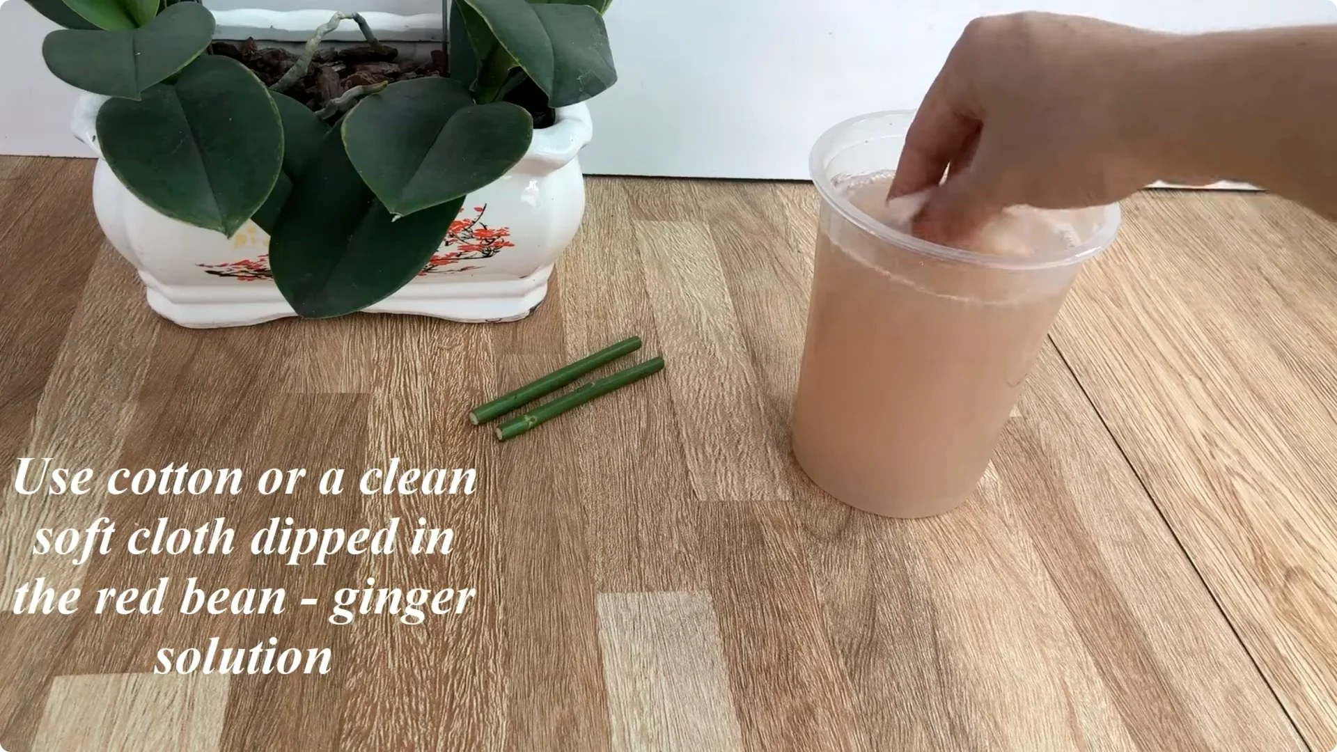 The Surprising Simple Method to Propagate Roses Easily screenshot 13