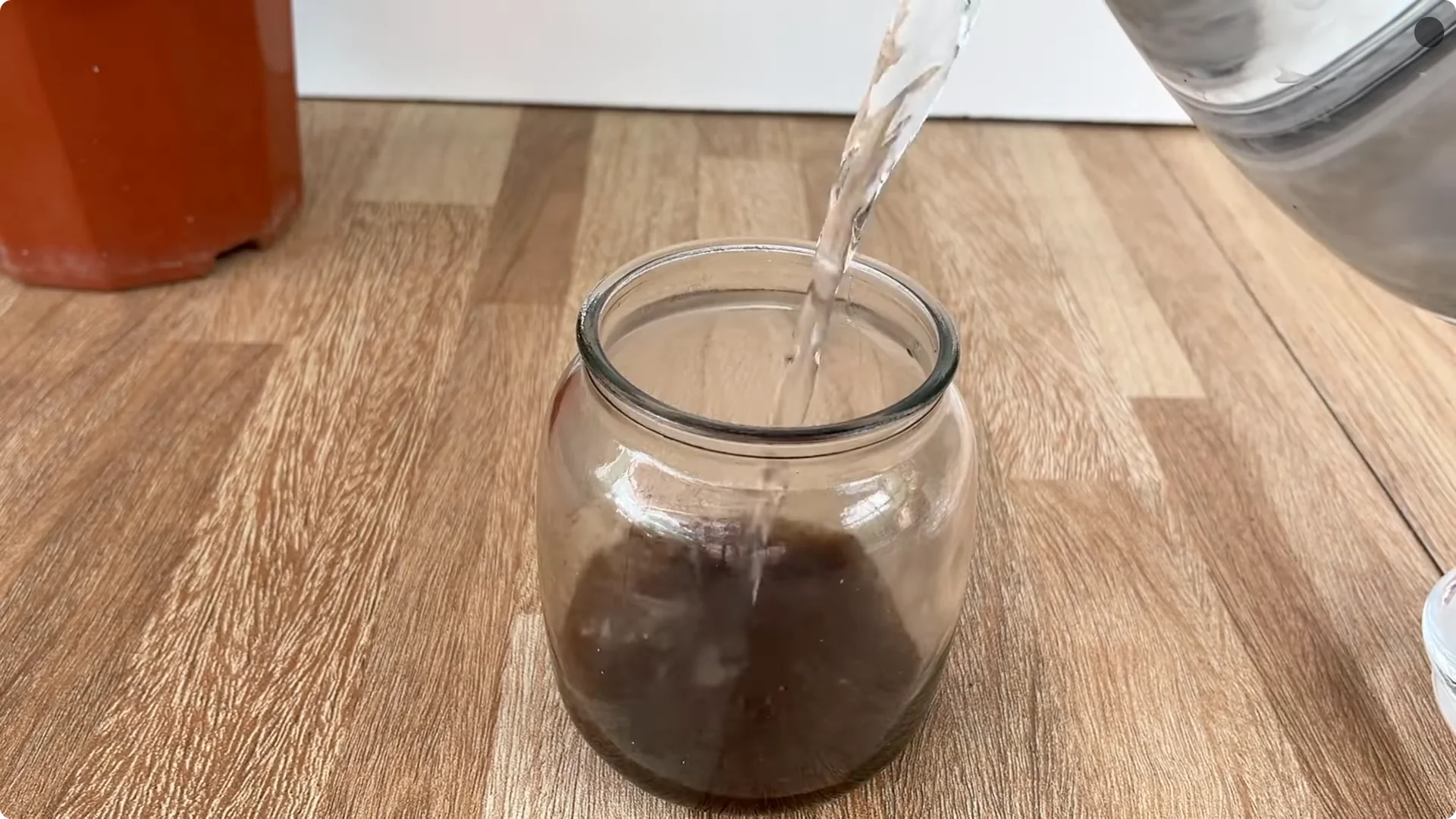 The Surprising Simple Method to Propagate Roses Easily screenshot 2