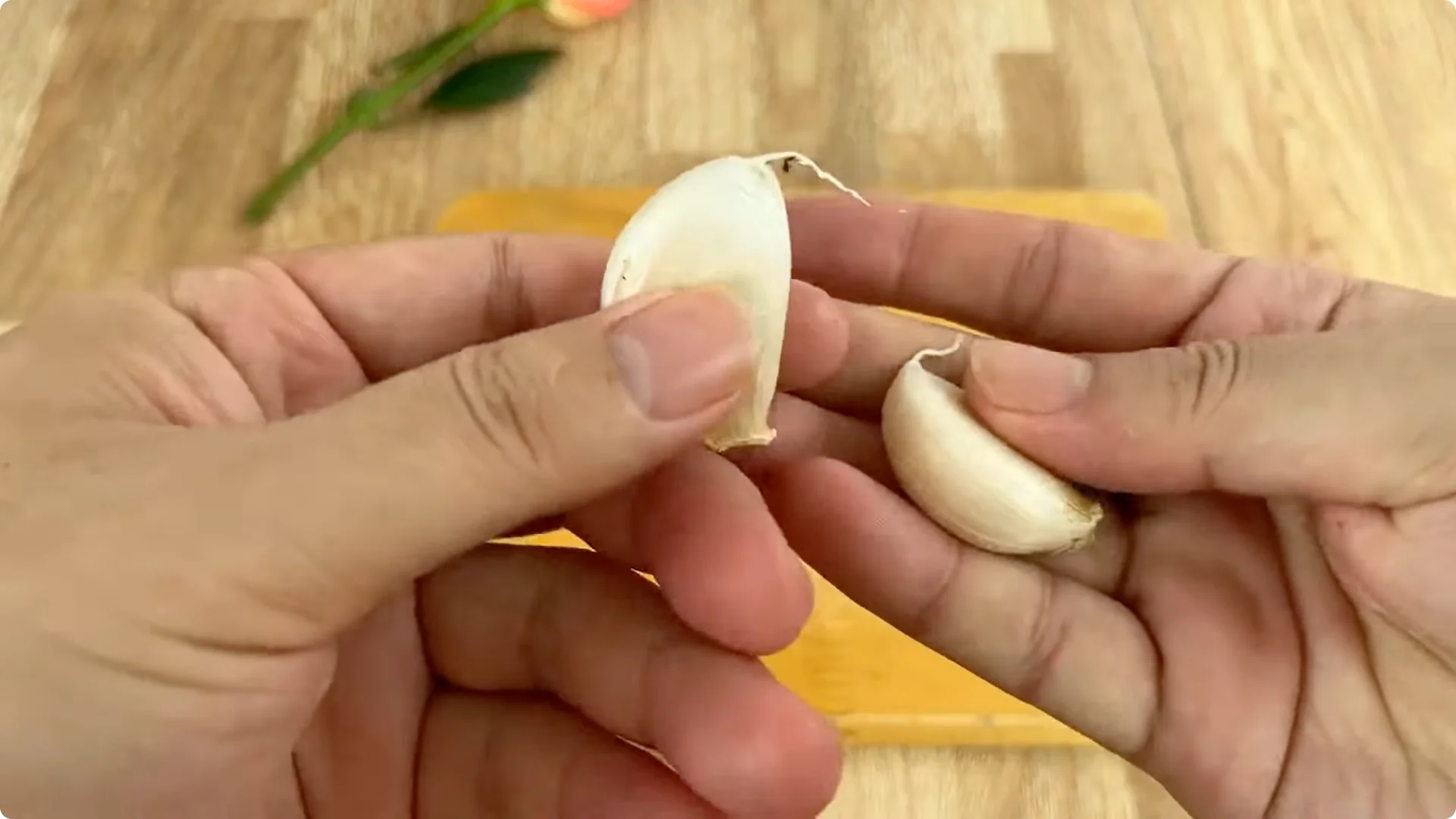 The Surprising Simple Method to Propagate Roses Easily screenshot 4