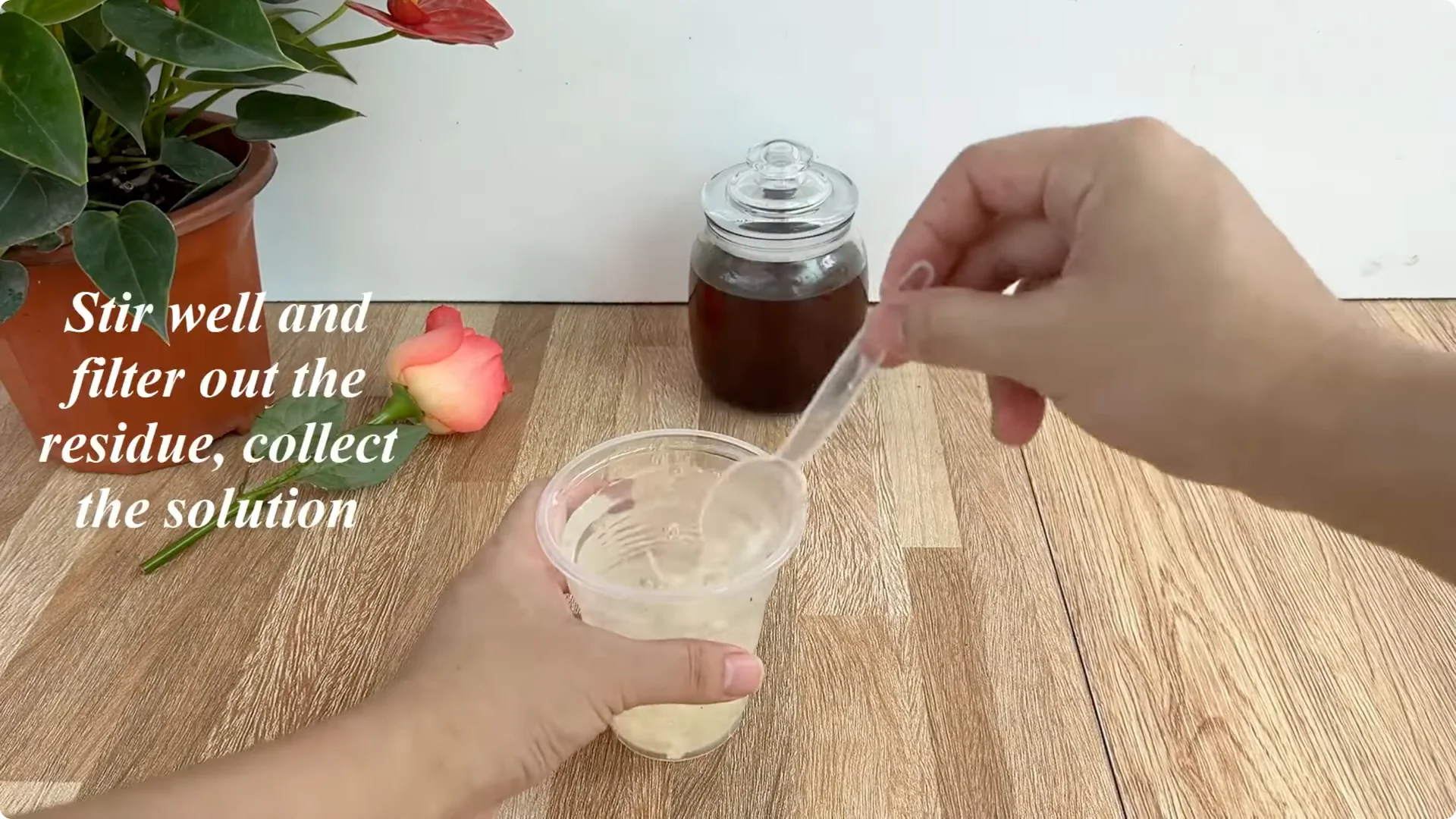 The Surprising Simple Method to Propagate Roses Easily screenshot 5