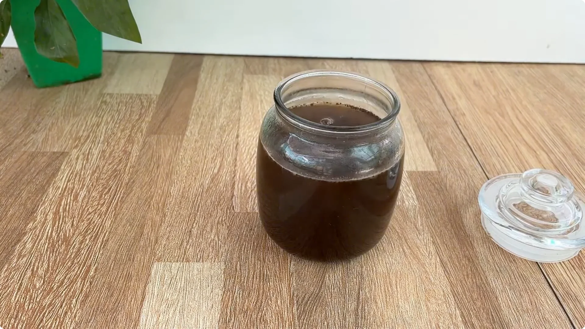 The Unexpected Method That Boosted My Rose Propagation Success screenshot 10