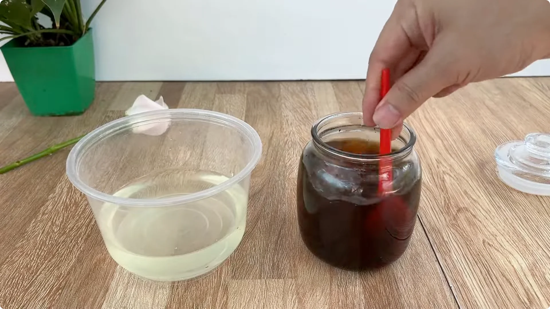 The Unexpected Method That Boosted My Rose Propagation Success screenshot 13