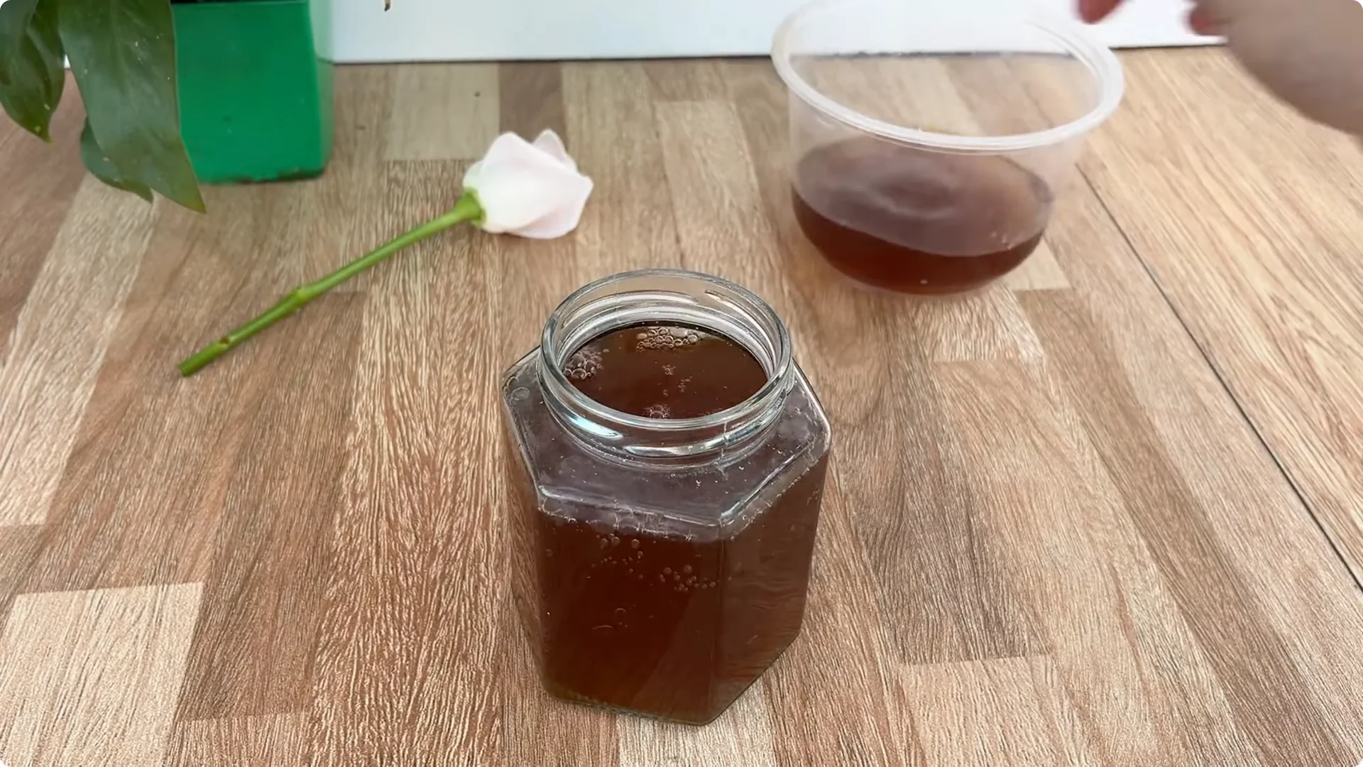 The Unexpected Method That Boosted My Rose Propagation Success screenshot 14