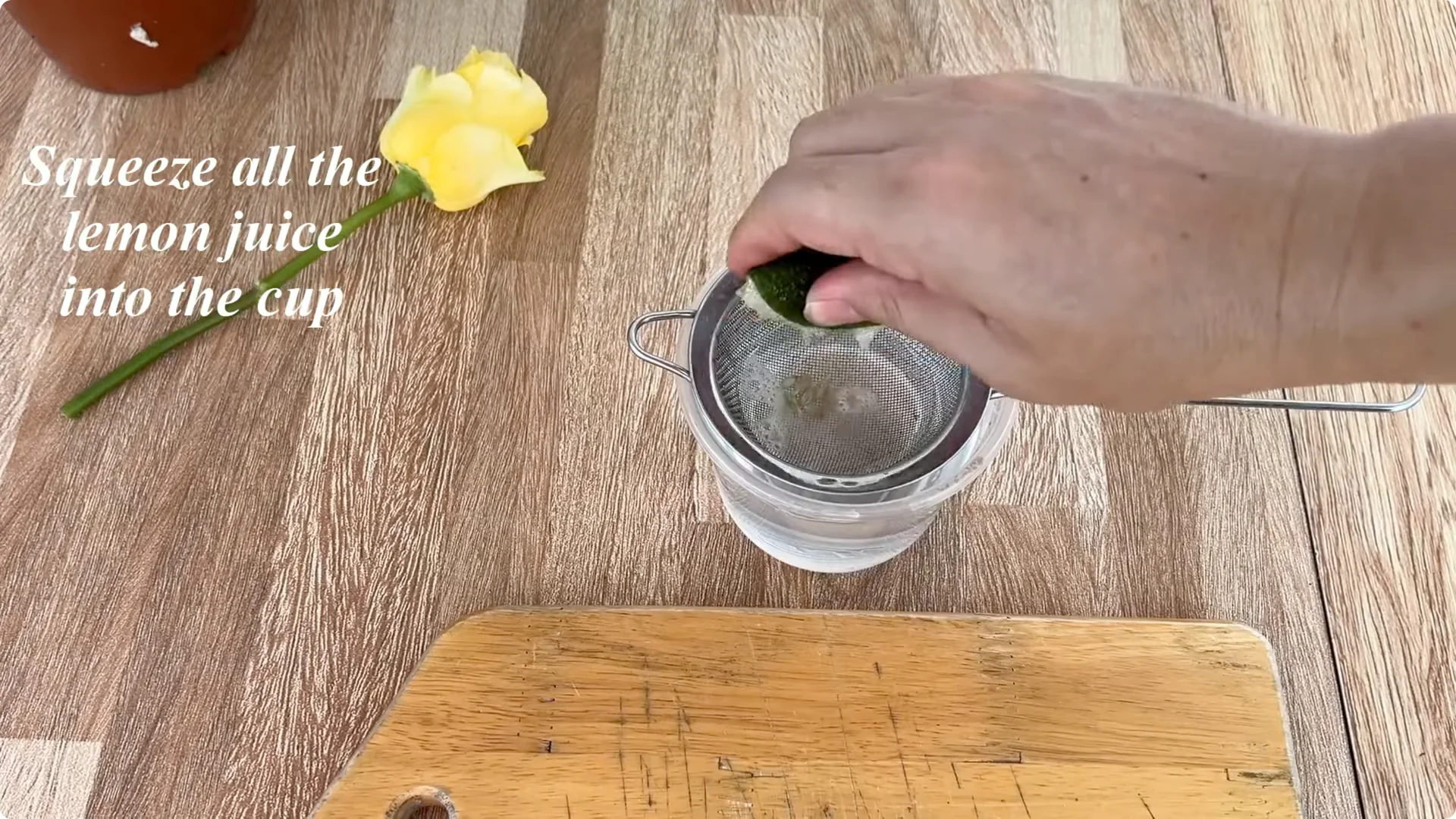 The Unexpected Method That Boosted My Rose Propagation Success screenshot 2