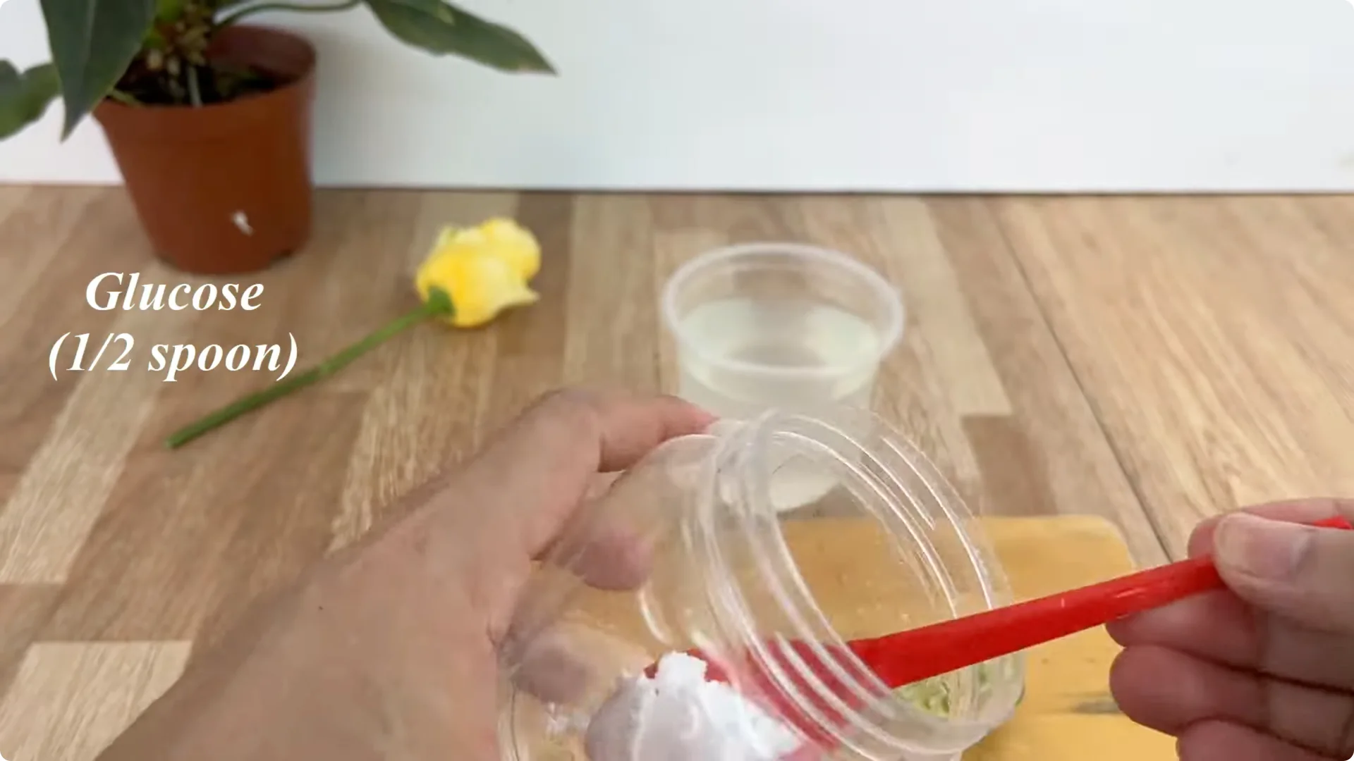 The Unexpected Method That Boosted My Rose Propagation Success screenshot 3