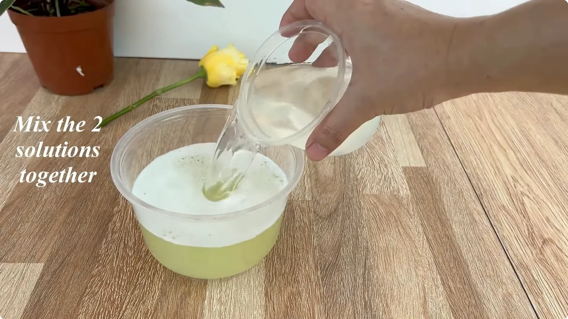 The Unexpected Method That Boosted My Rose Propagation Success screenshot 5