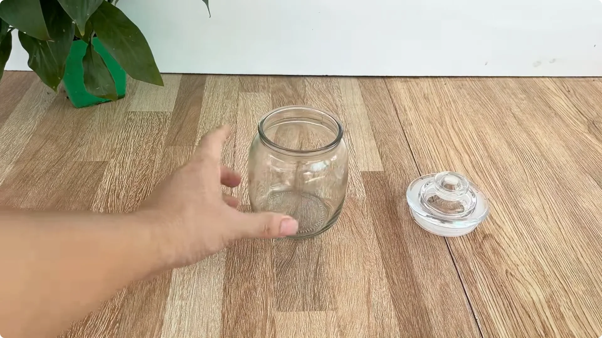 The Unexpected Method That Boosted My Rose Propagation Success screenshot 9