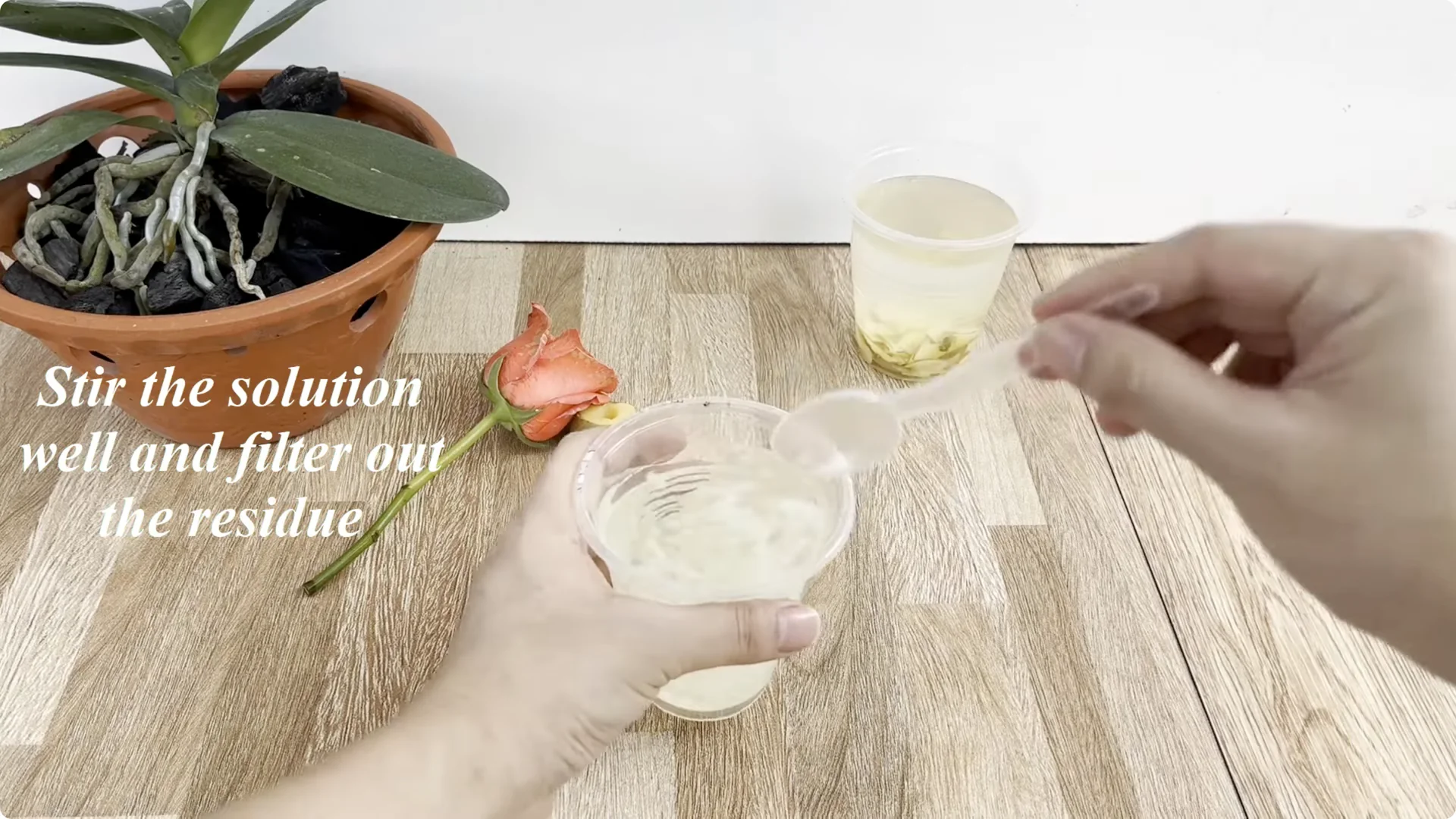 The Unexpected Method That Transformed My Rose Propagation screenshot 6