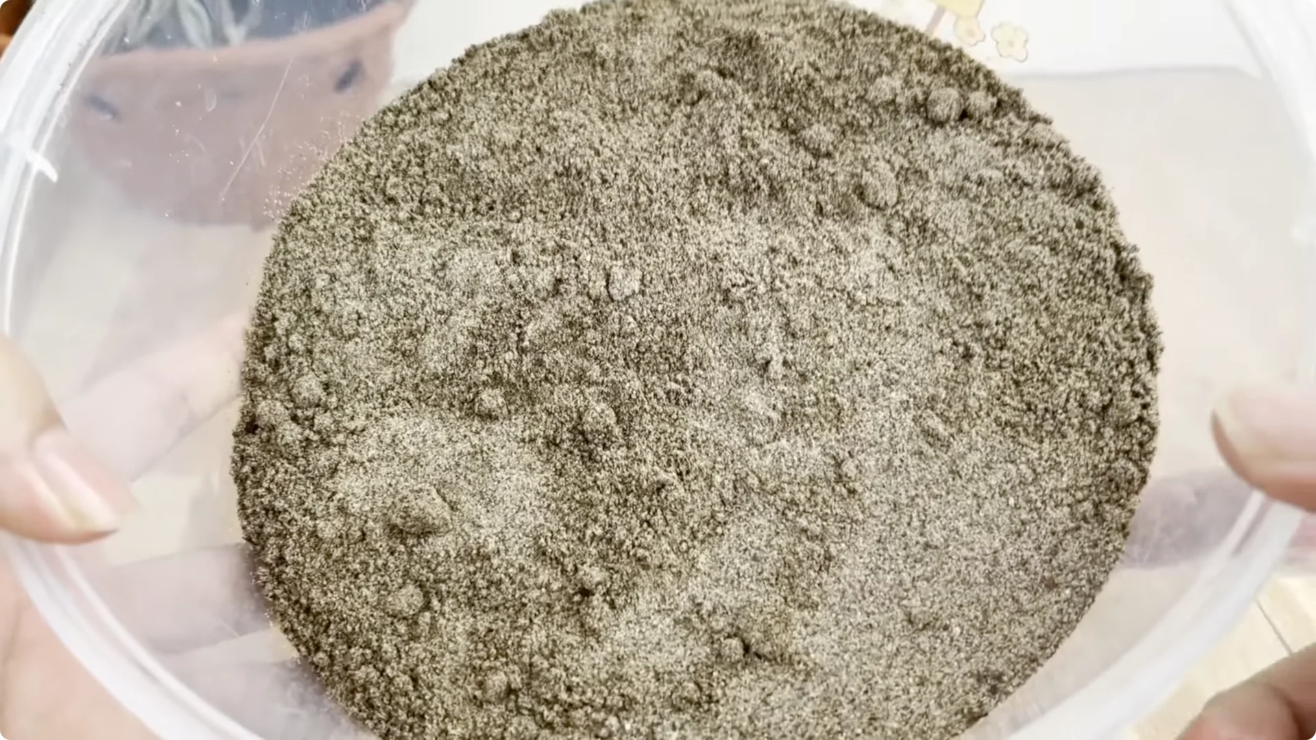 The Unexpected Method That Transformed My Rose Propagation screenshot 7