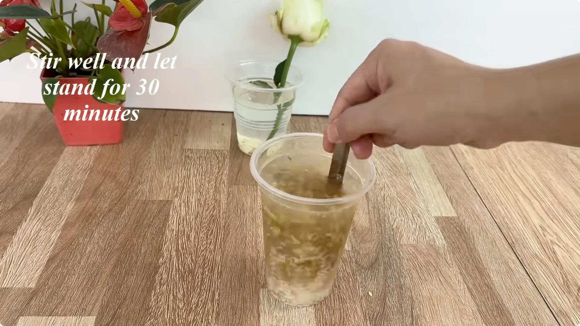 This Simple Trick Boosts Rose Growth by 800%—Here's How screenshot 3