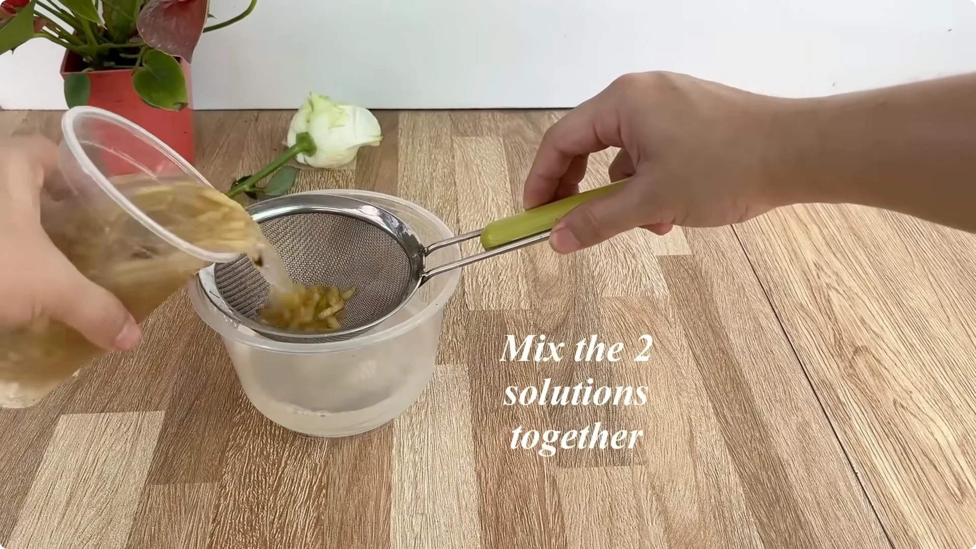 This Simple Trick Boosts Rose Growth by 800%—Here's How screenshot 4