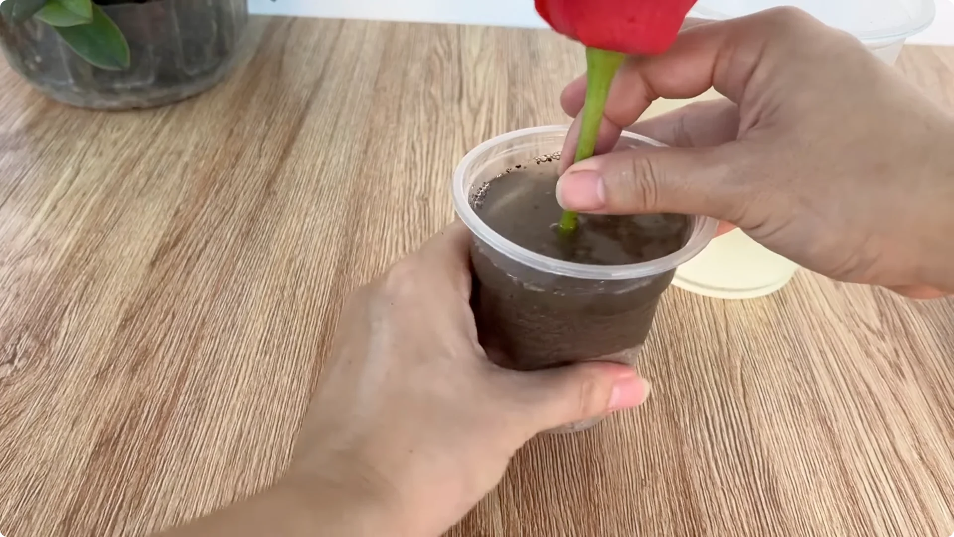 What Happens When You Graft a Rose Branch Onto a Cucumber? screenshot 12