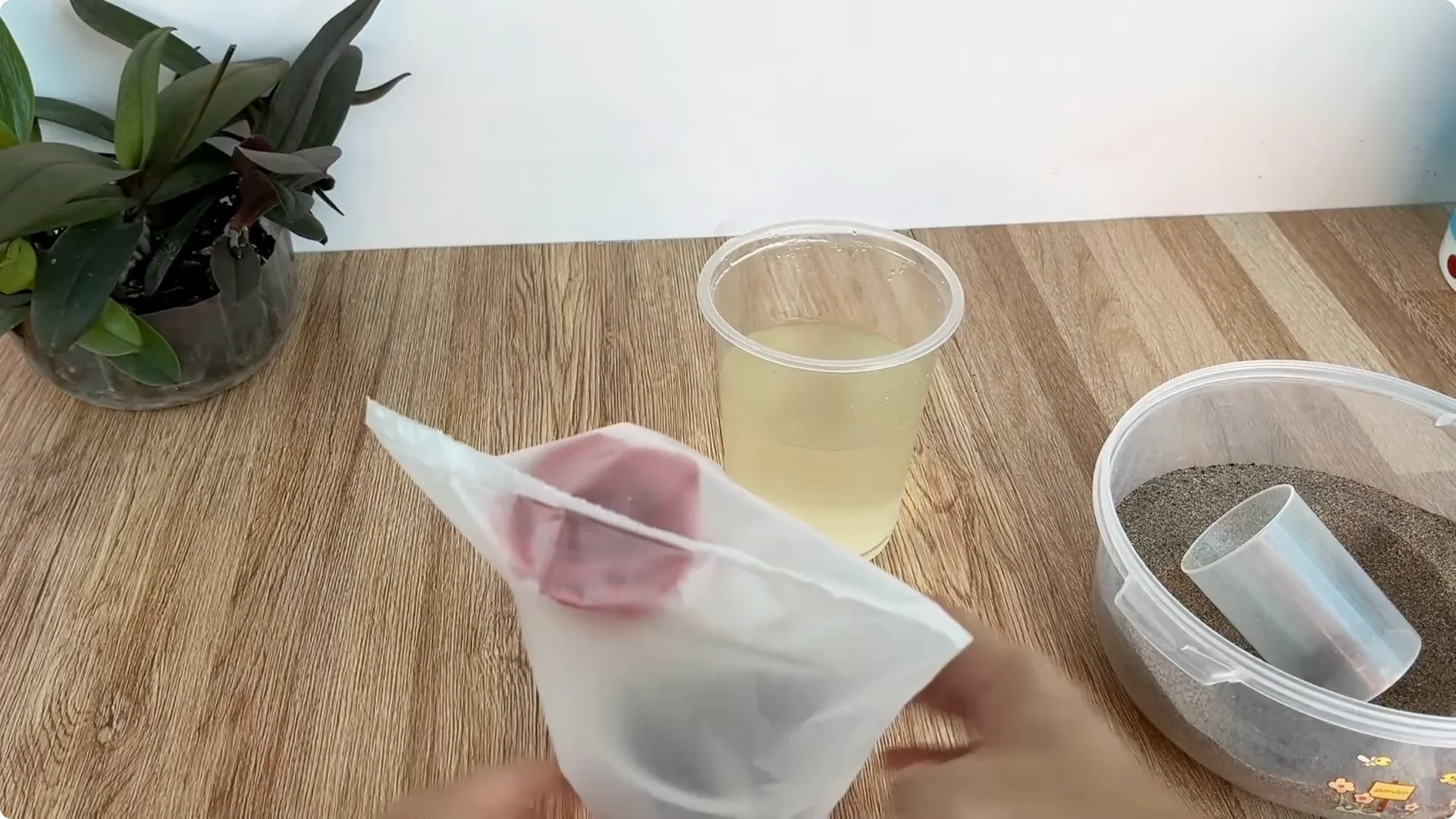 What Happens When You Graft a Rose Branch Onto a Cucumber? screenshot 14