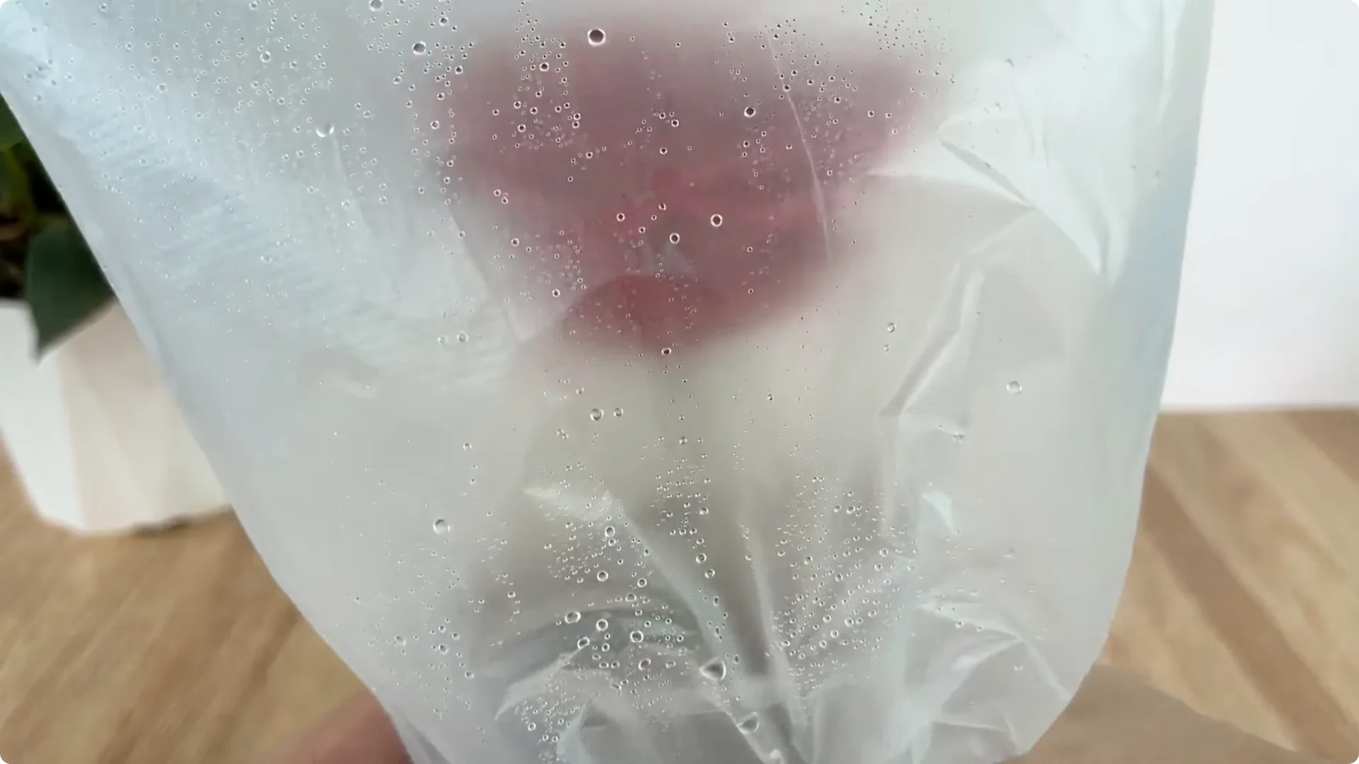 What Happens When You Graft a Rose Branch Onto a Cucumber? screenshot 15