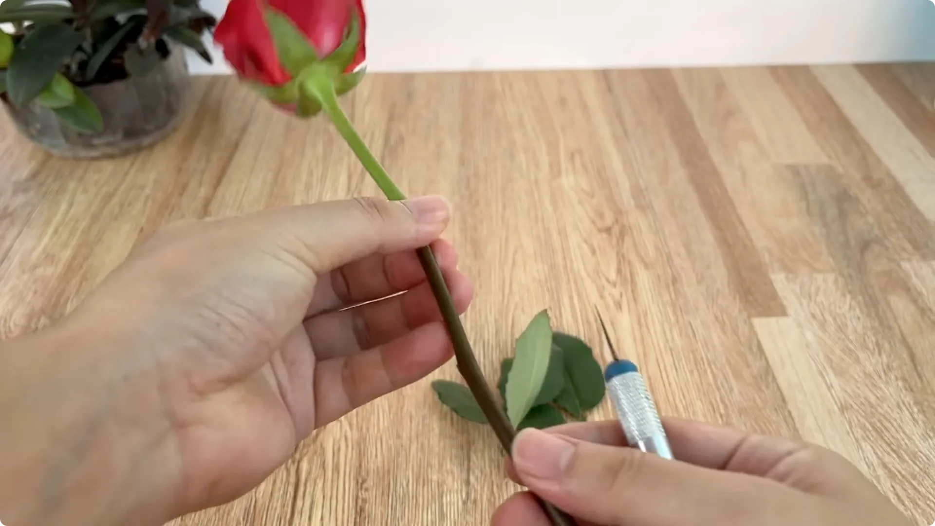 What Happens When You Graft a Rose Branch Onto a Cucumber? screenshot 2